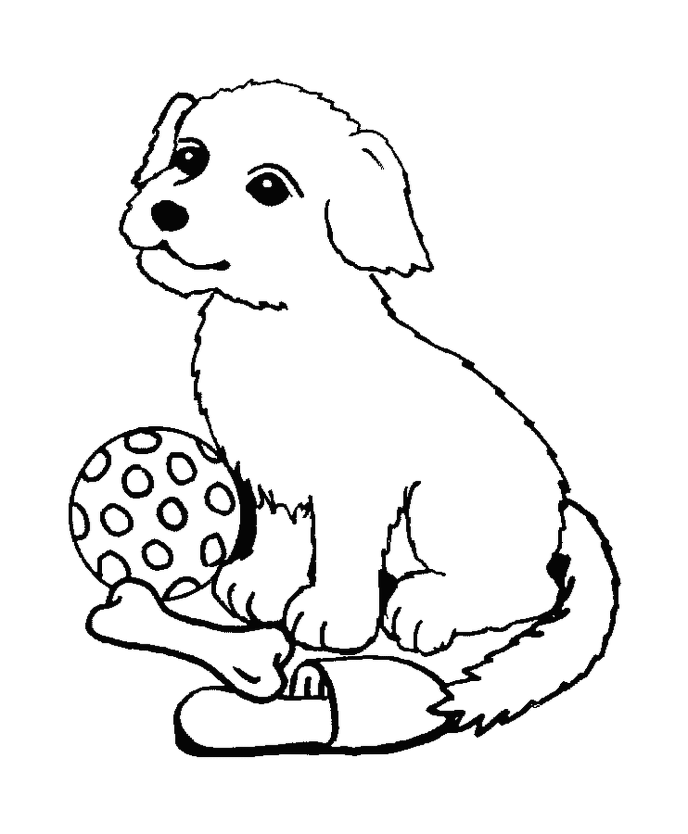  Un modello top dog con un osso e una palla 