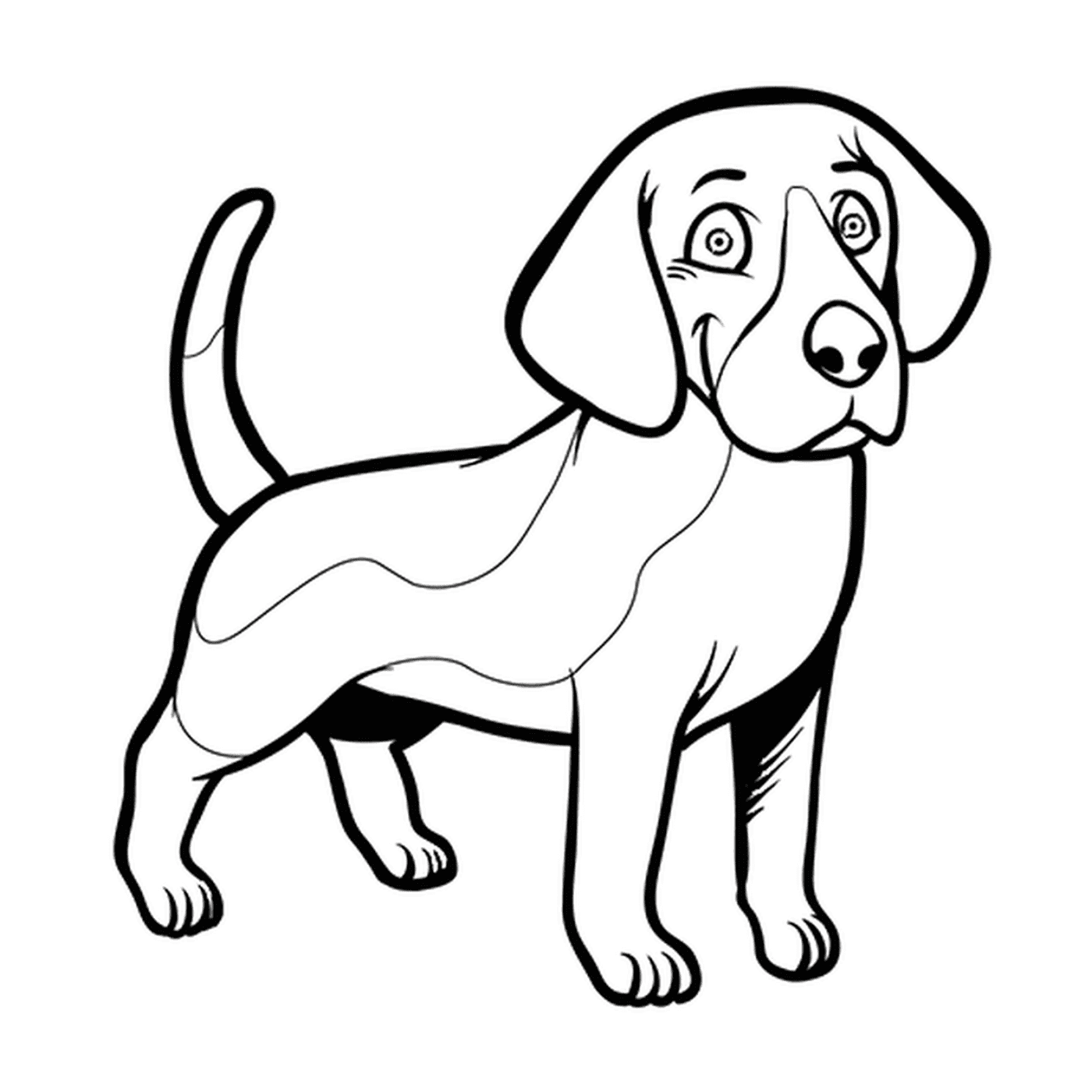  Ein lächelnder Beagle-Hund 