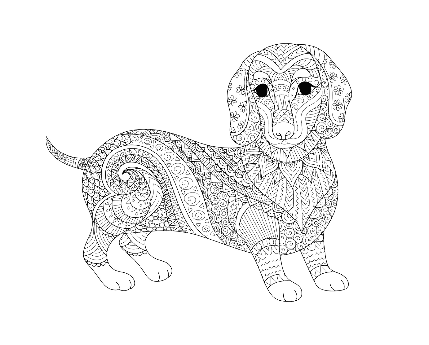  An adult teckel dog in a zentangle style 