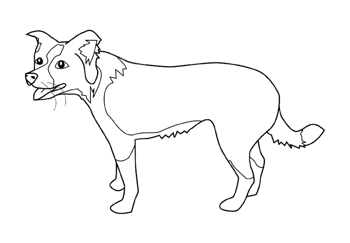  Die Kontur eines Hundes, der auf seinen vier Beinen steht 