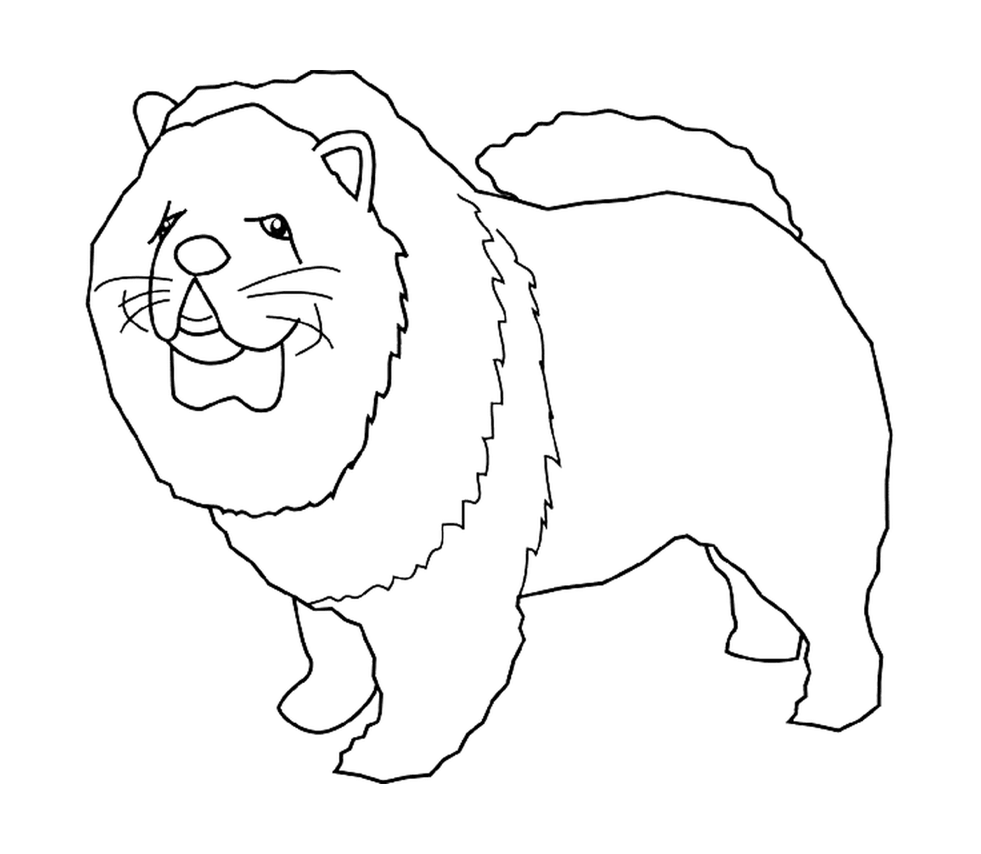 A chow chow (looks like a lion) 