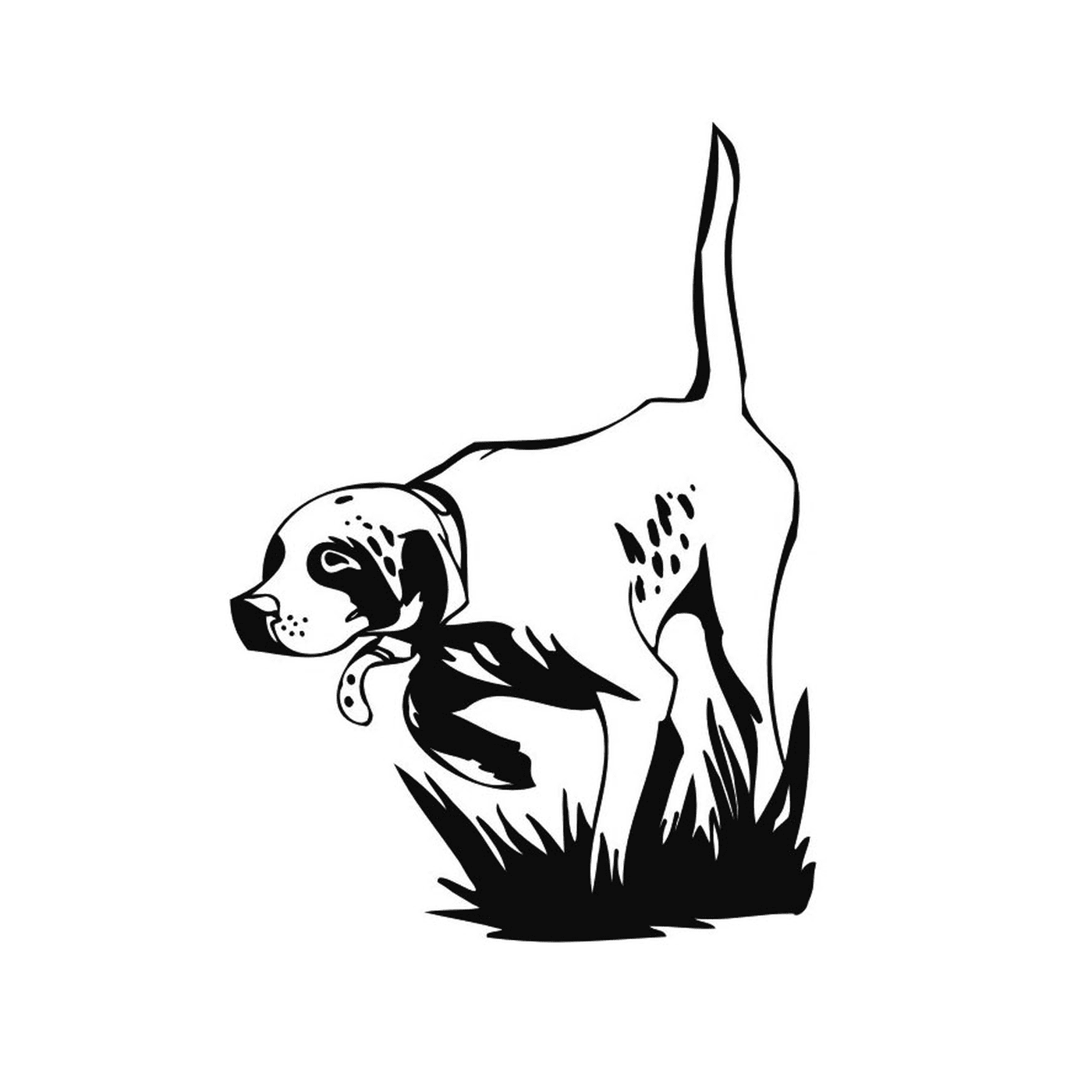  A hunting dog in a field 
