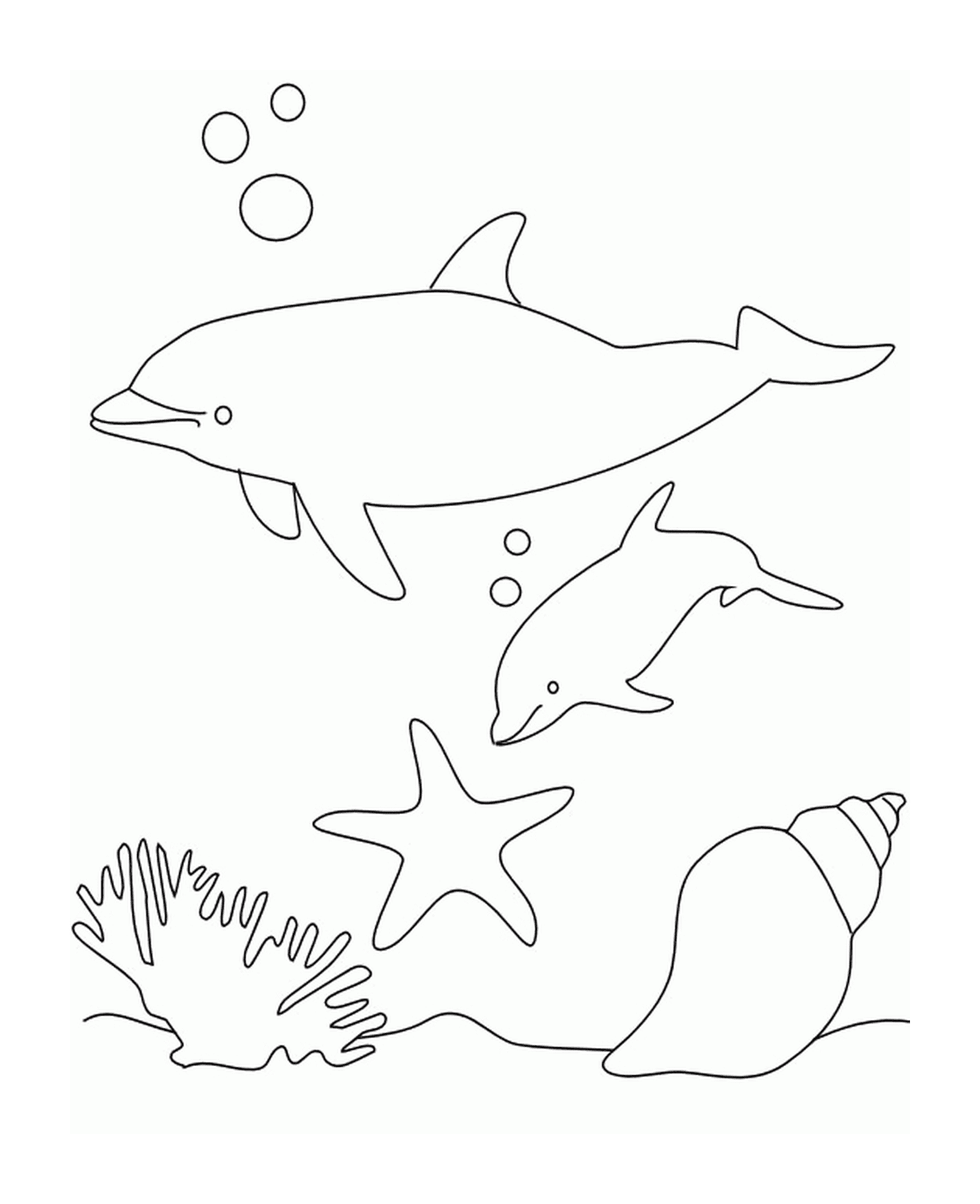 Дельфины и моллюсков в воде 