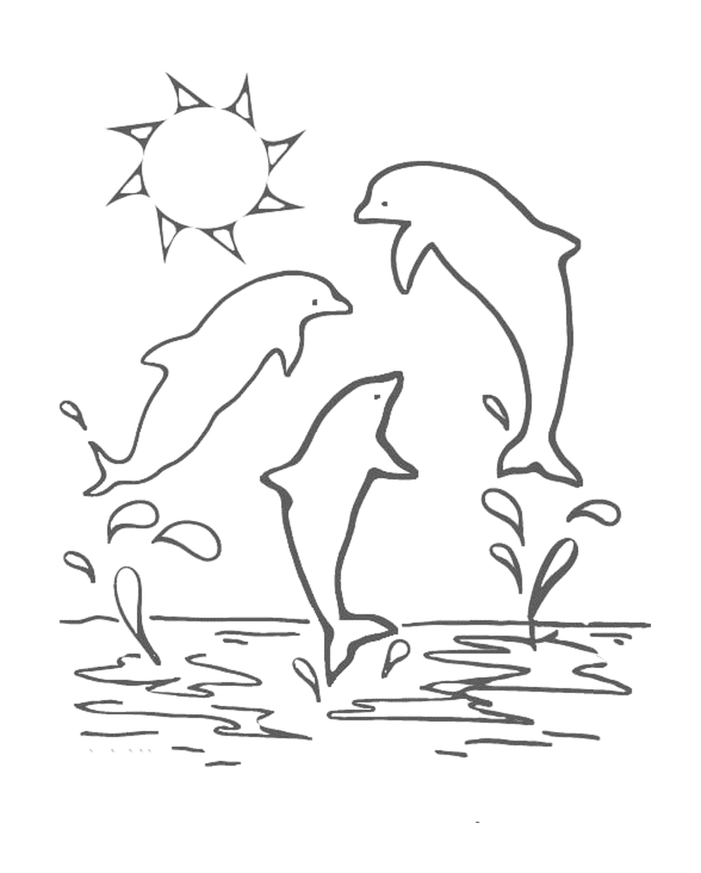  Tre Delfini che saltano con un Sole 