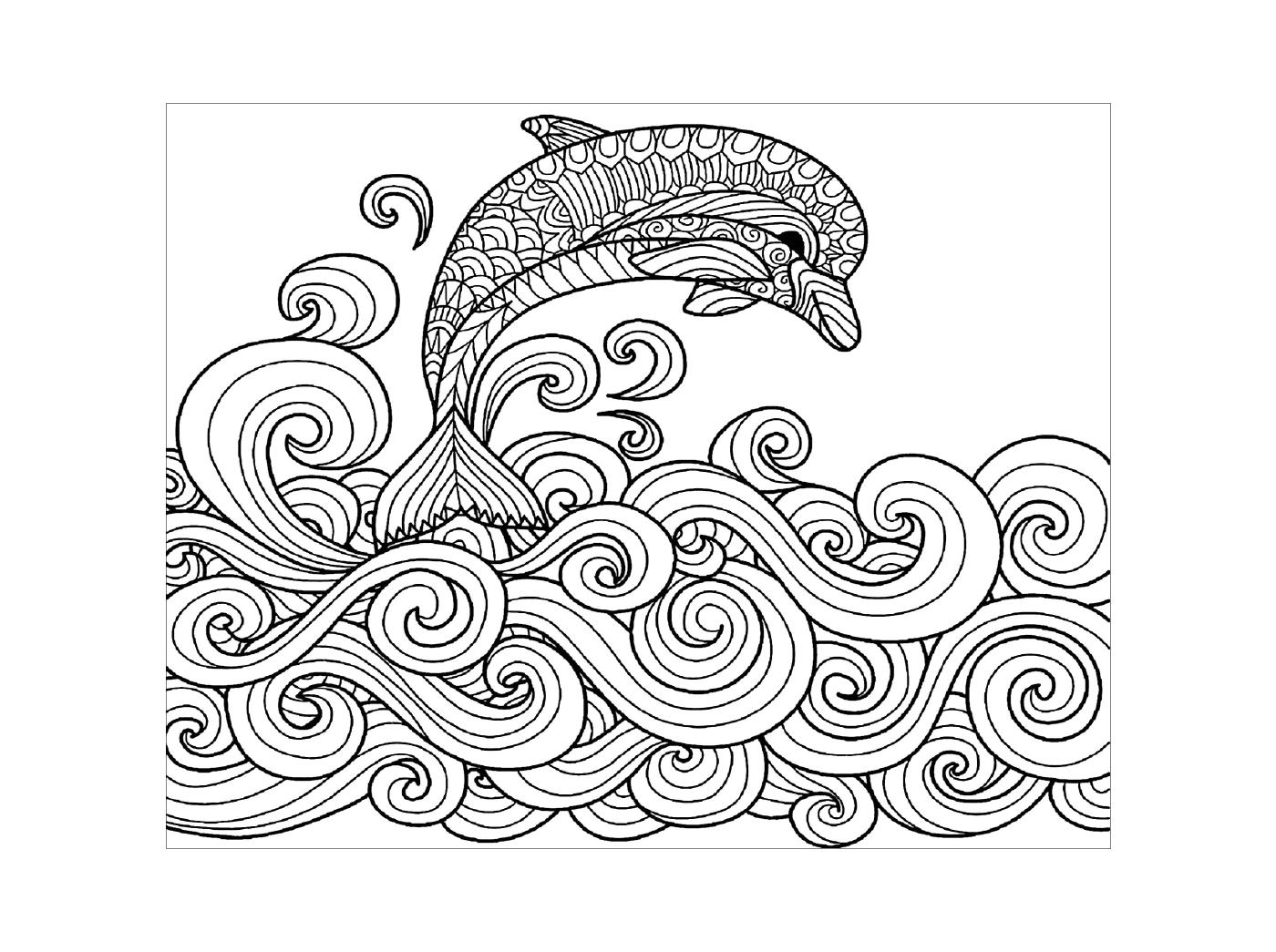  Delfín Desliza sobre una ola 