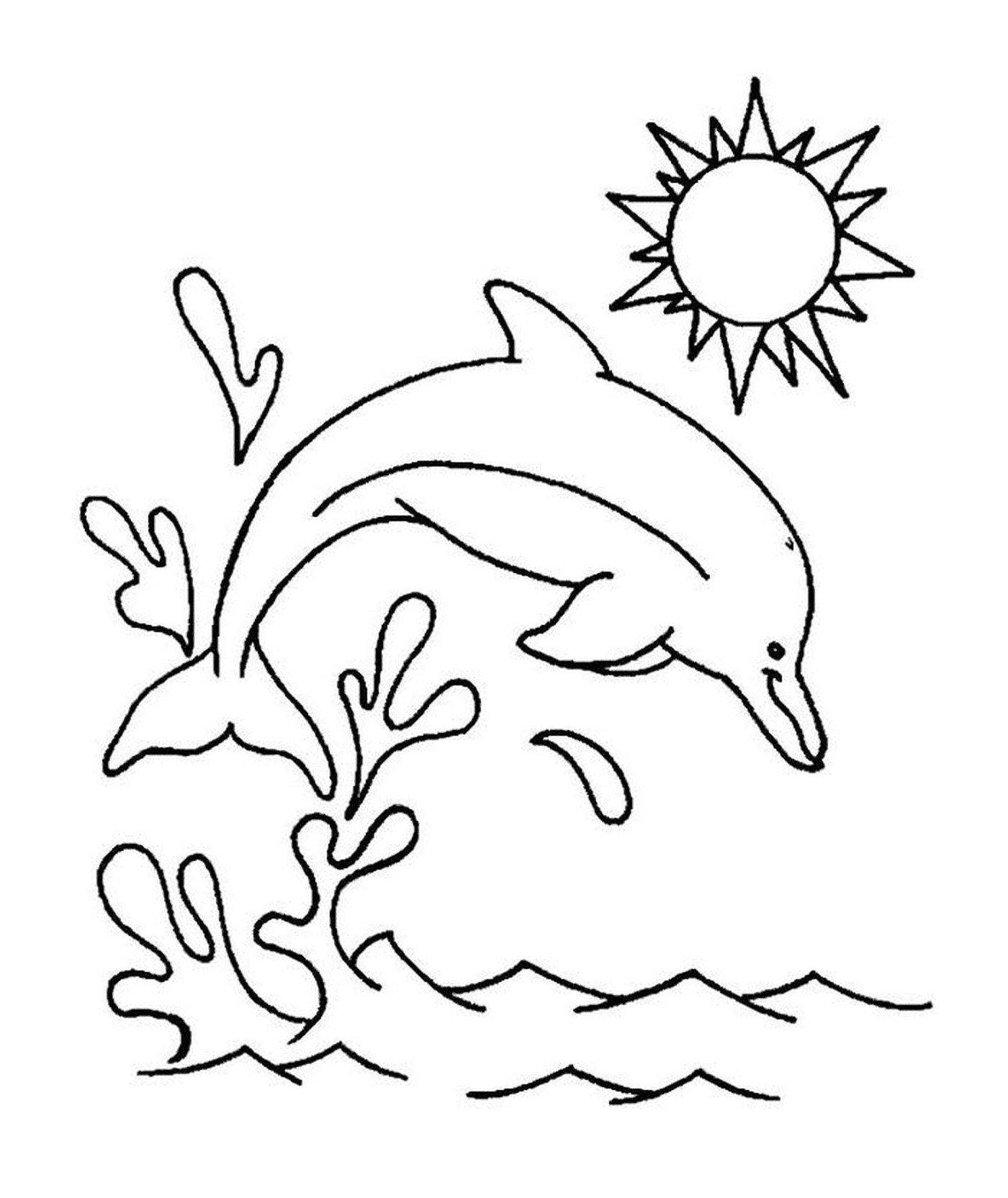  Delfintauchen im Wasser 