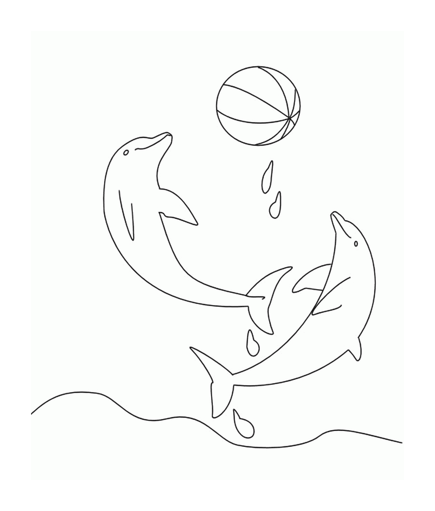  Два дельфина играют с шариком 