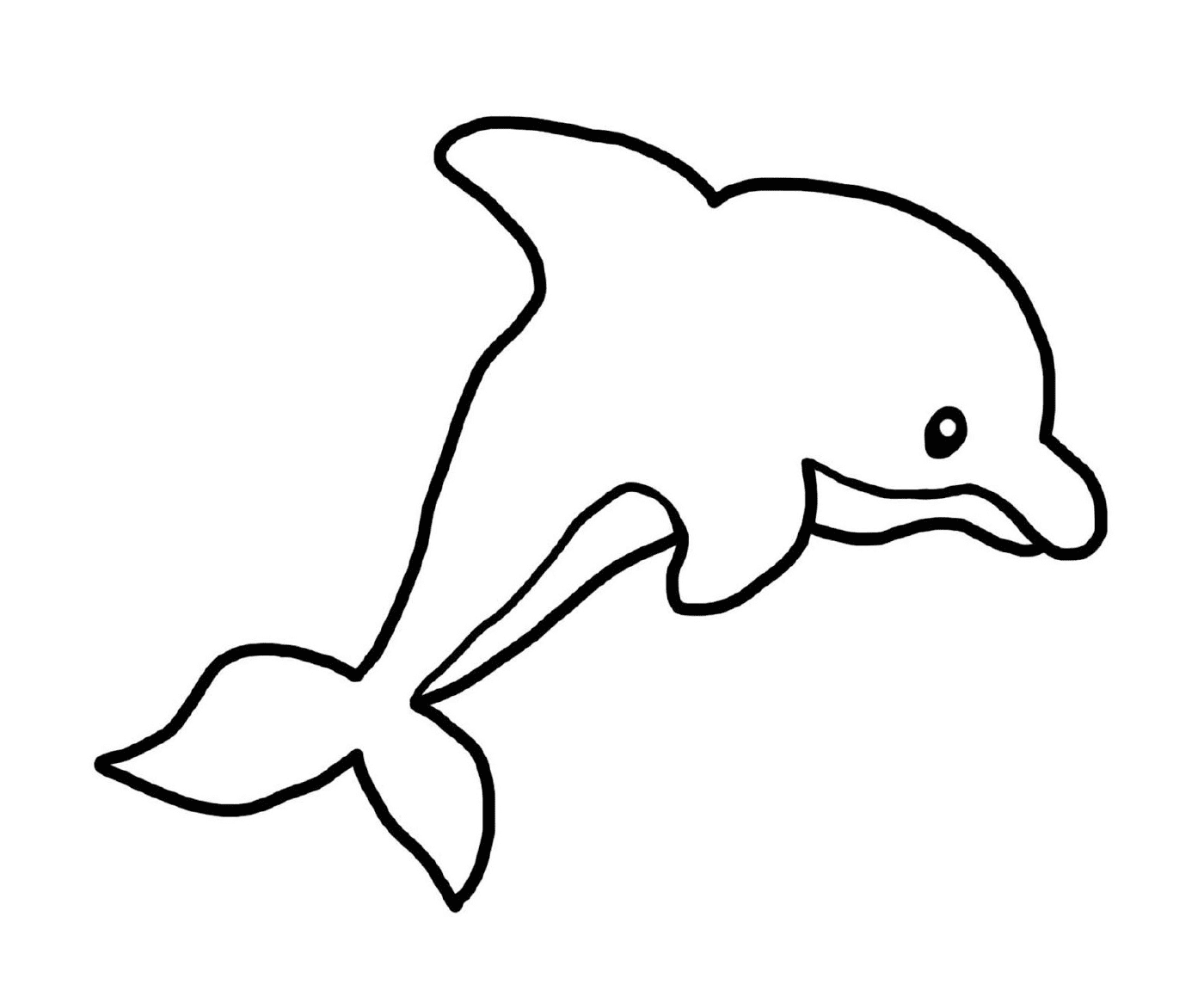  Delfin en el jardín de infantes 