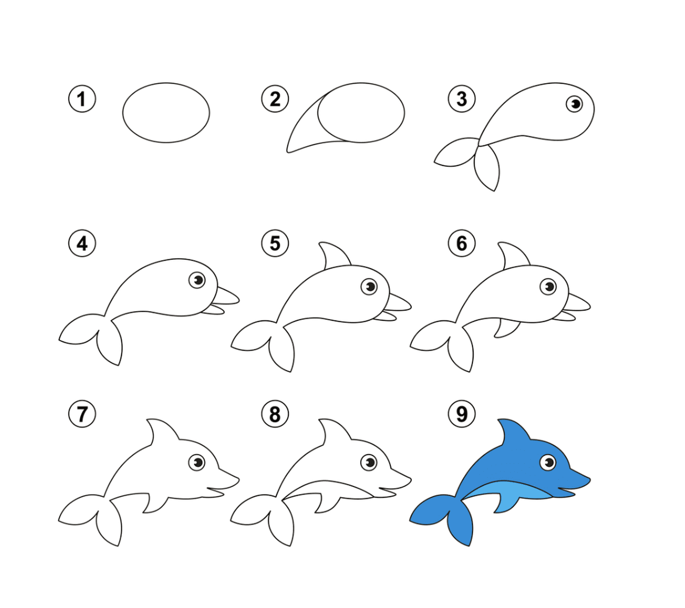  Step-by-step instructions for drawing a dolphin 