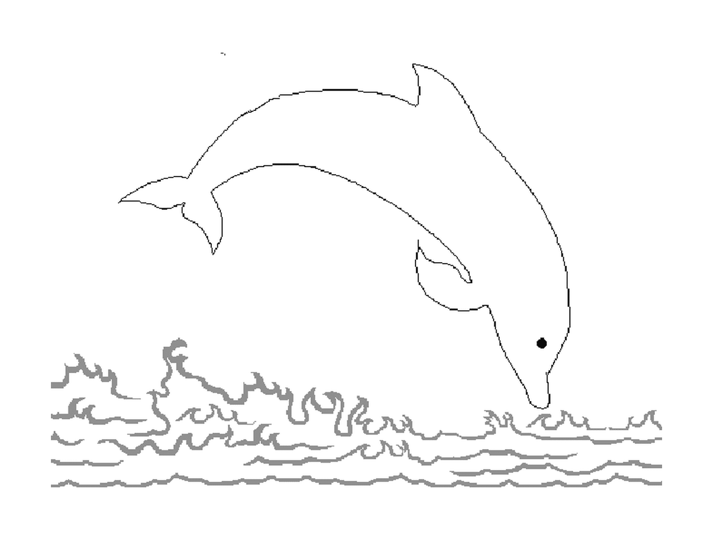  Ein Delphin springt ins Wasser 