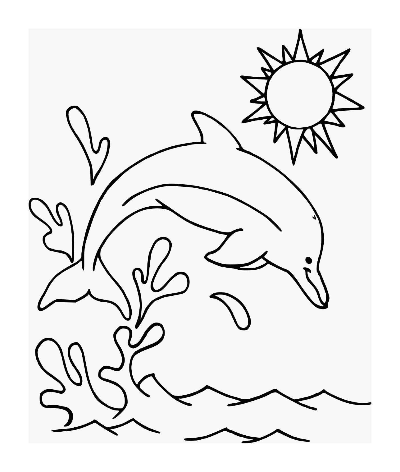  Дельфин прыгнул в воду под солнцем 