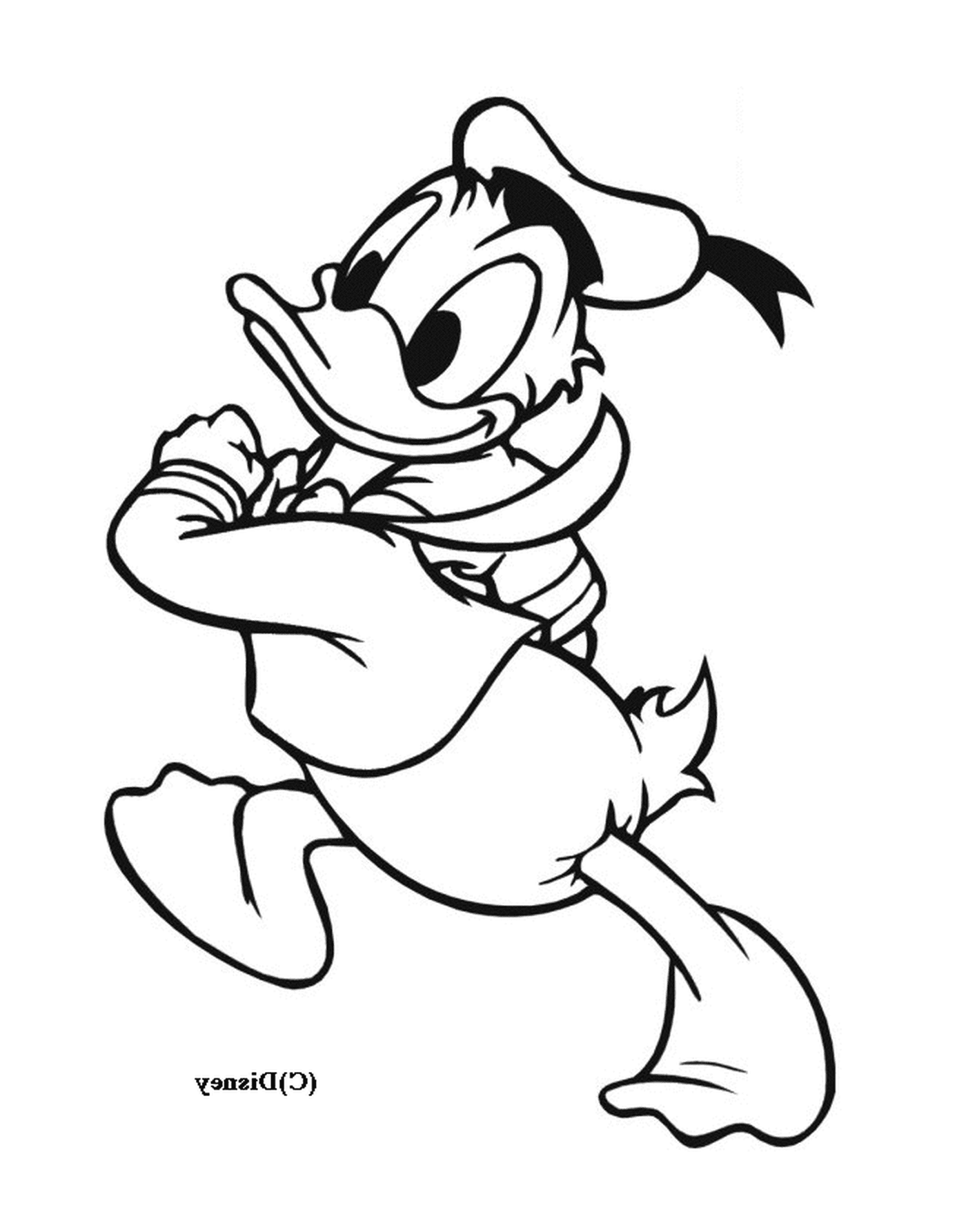  Donald Duck läuft glücklich mit einem Seil 