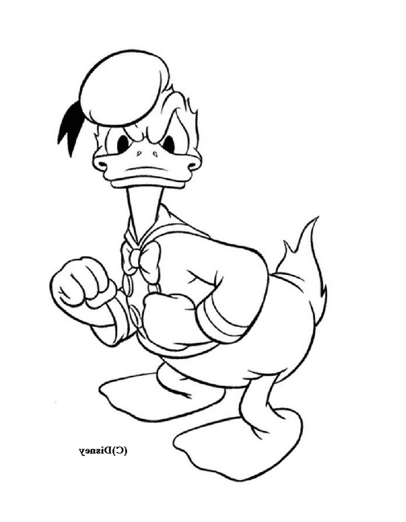  Donald Duck ist nicht glücklich 