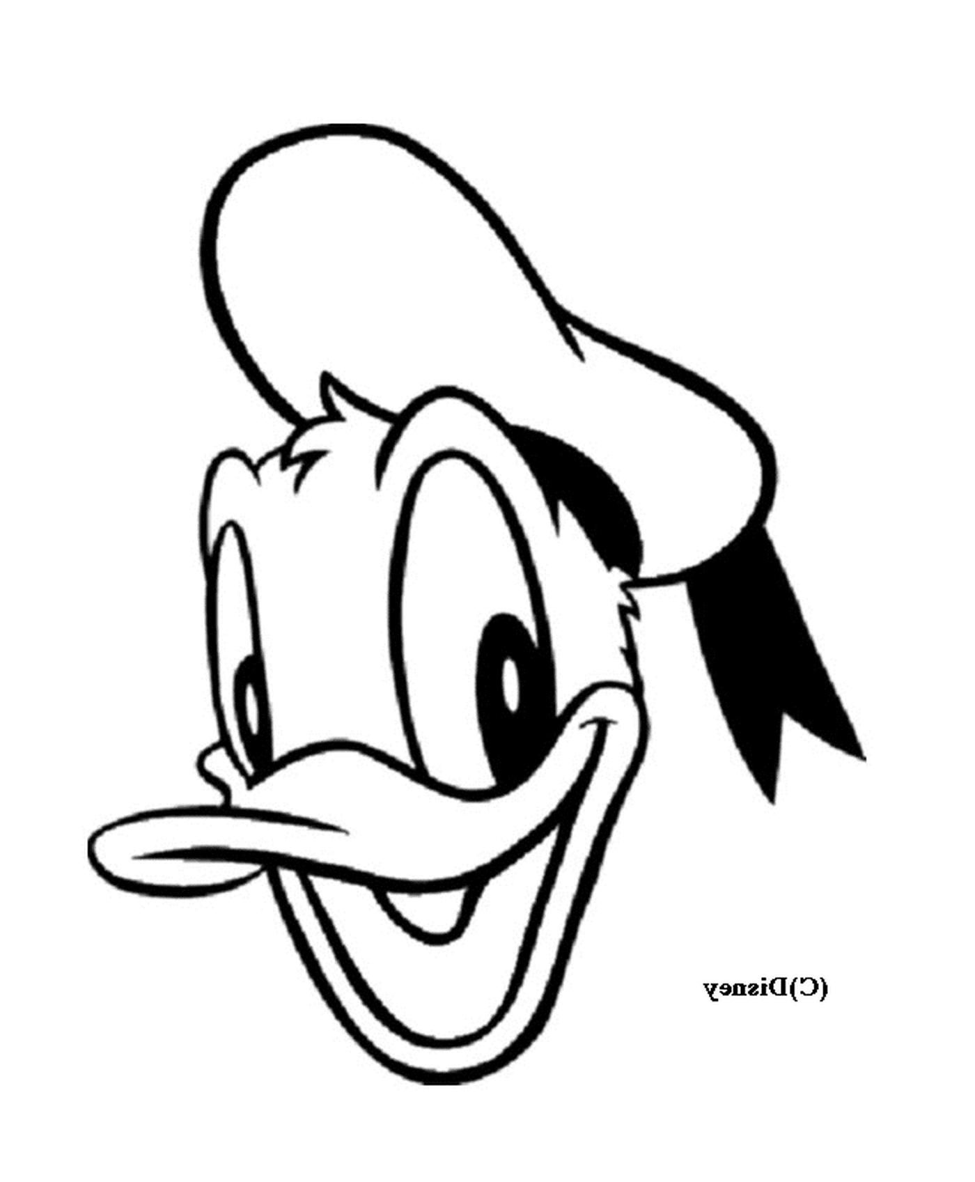  Donalds erkennbarer Kopf 