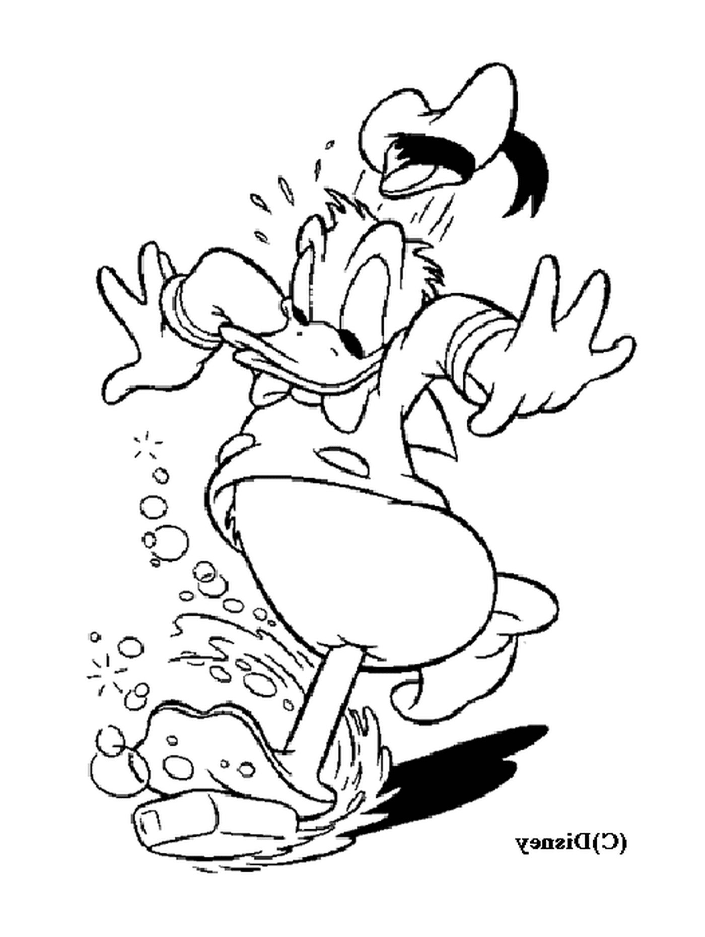  Donald slides on a soap, at his own risk 