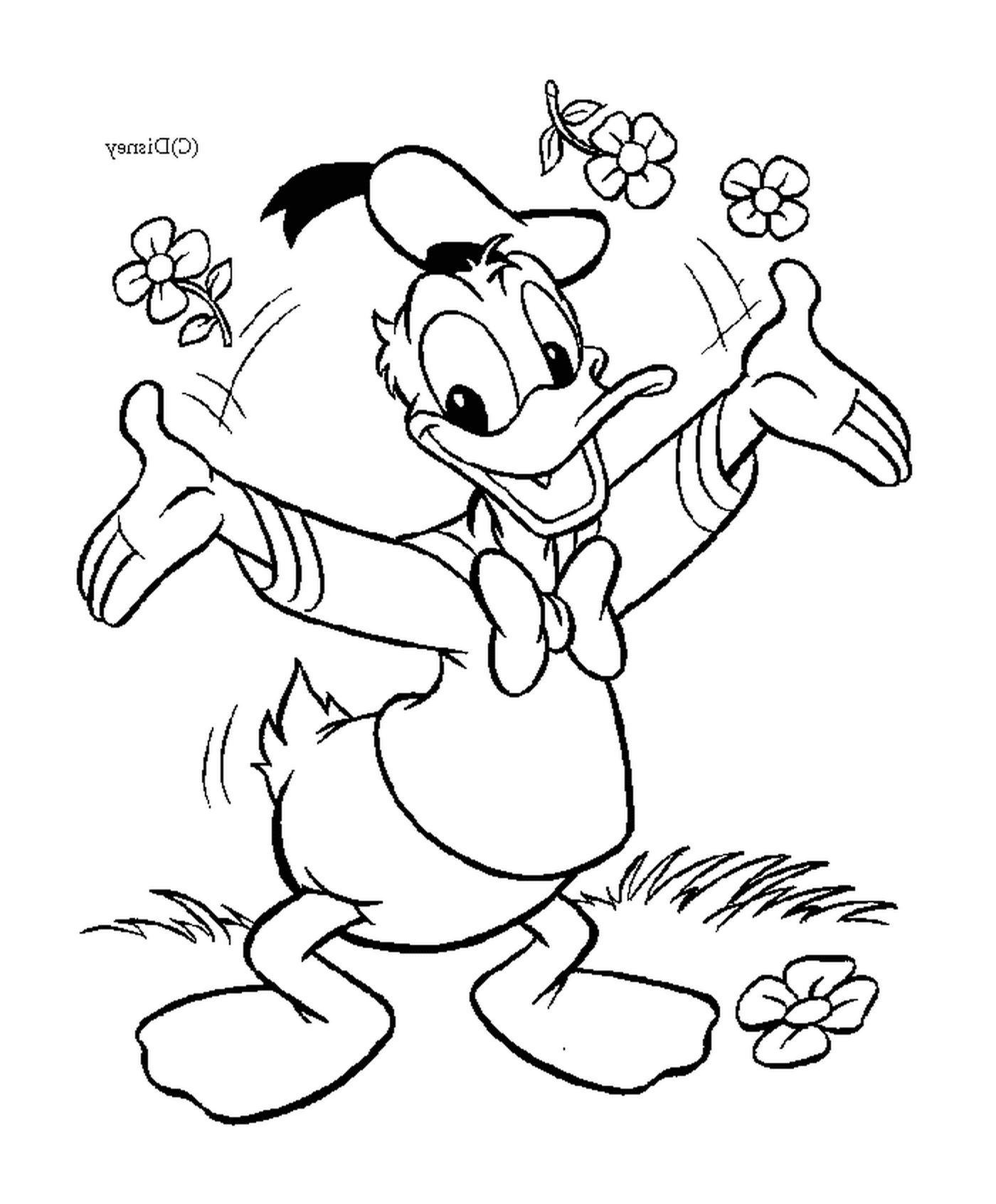  Donald ofrece flores con afecto 