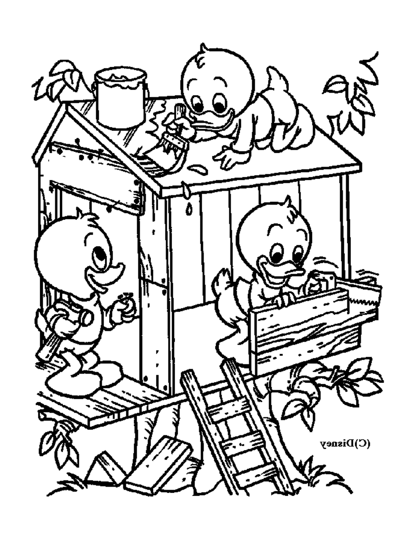  Donald's nephews are playing in their cabin 