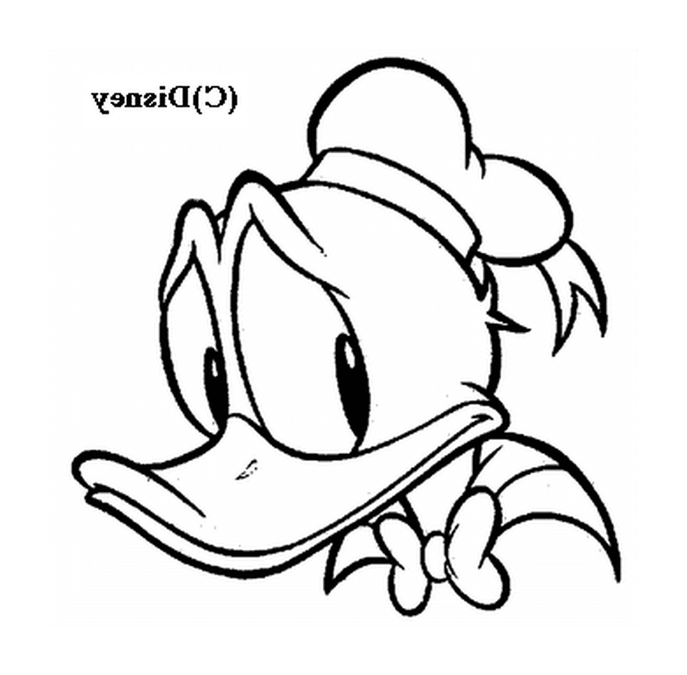  Donald's expressive head 