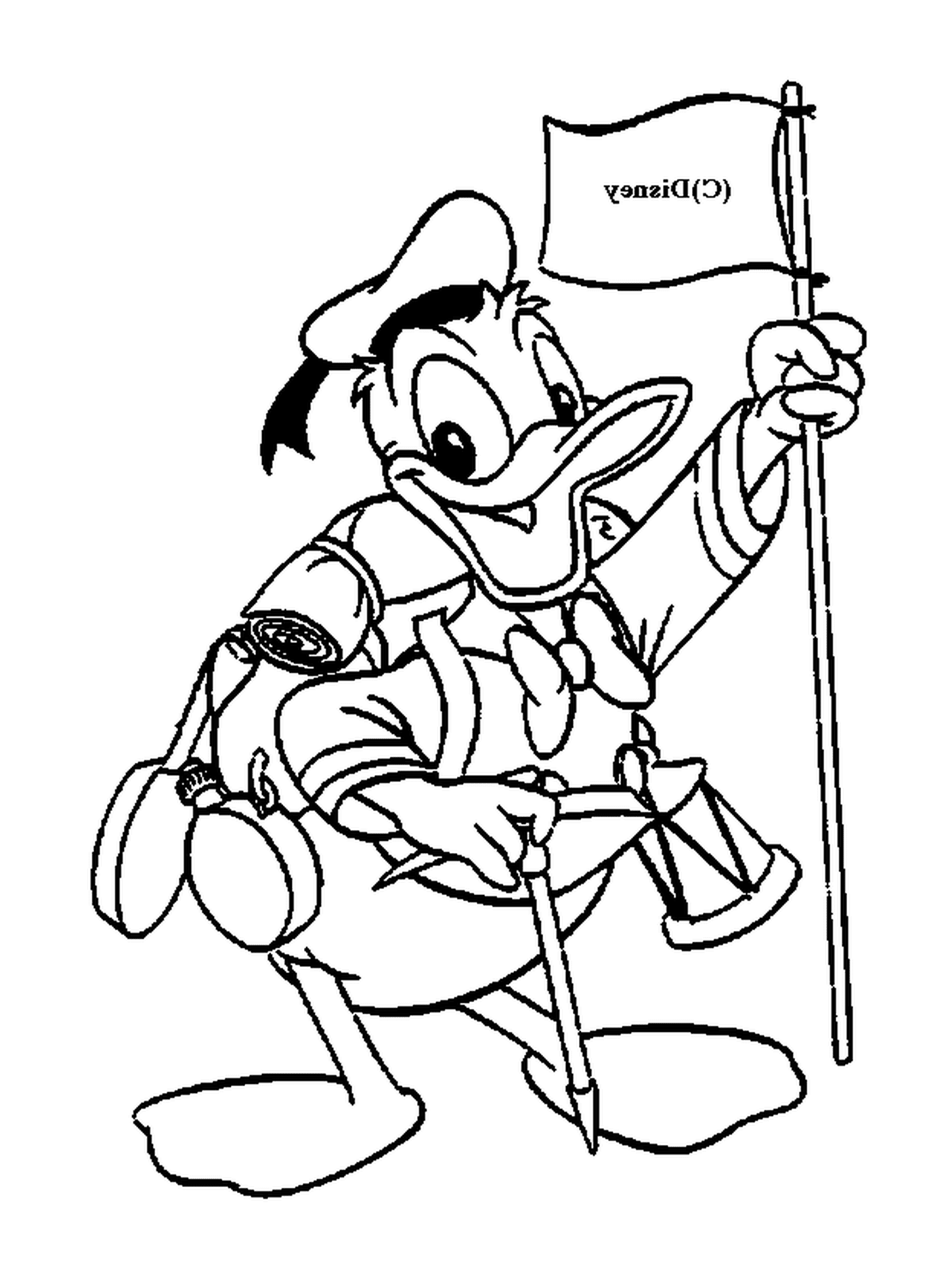  Donald en traje de explorador, orgulloso de su bandera 