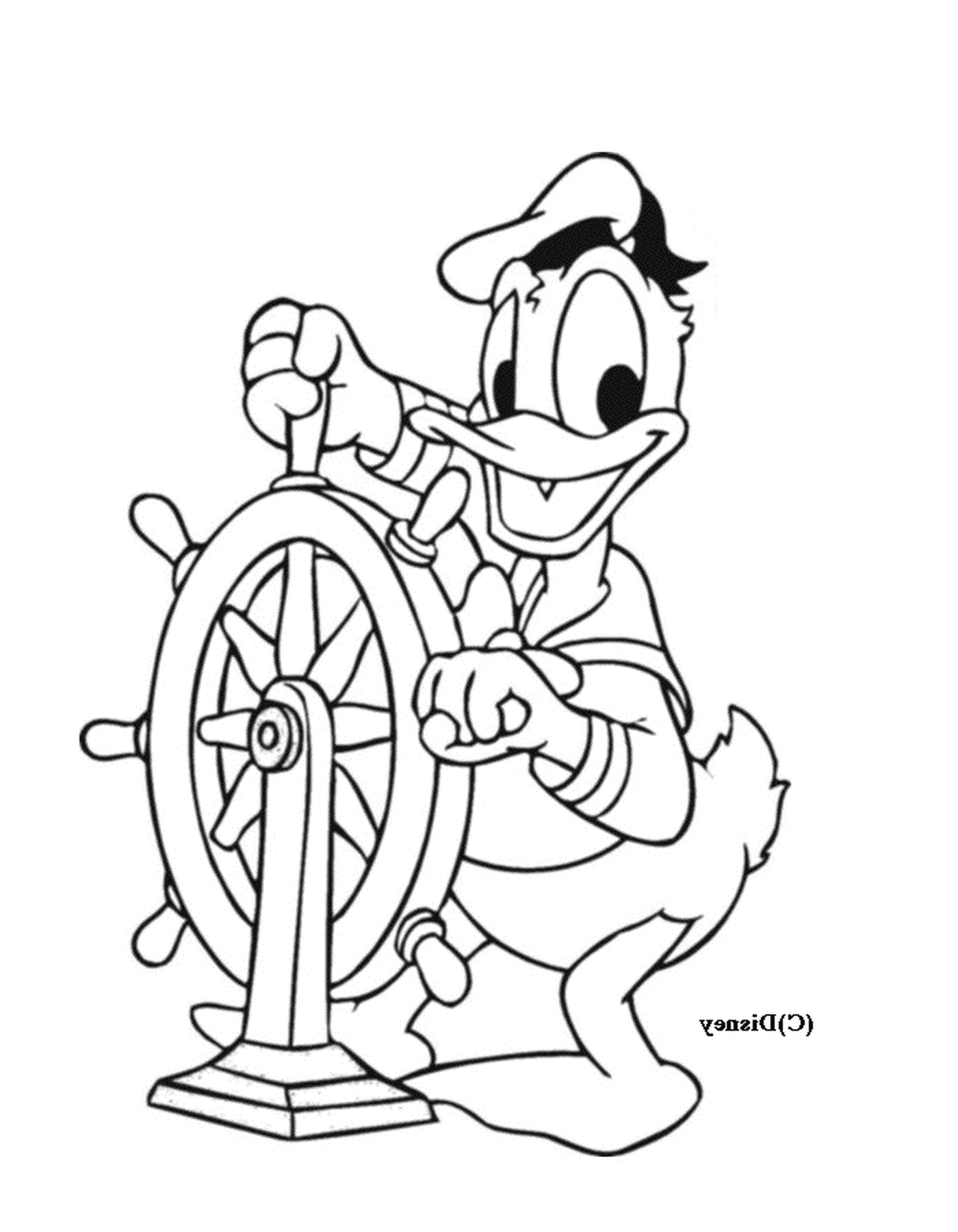  Donald sails confidently 