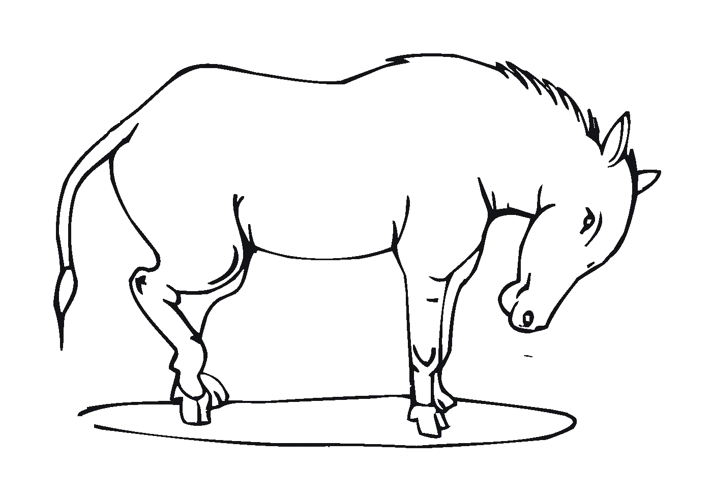 Un cavallo in piedi con la testa giù