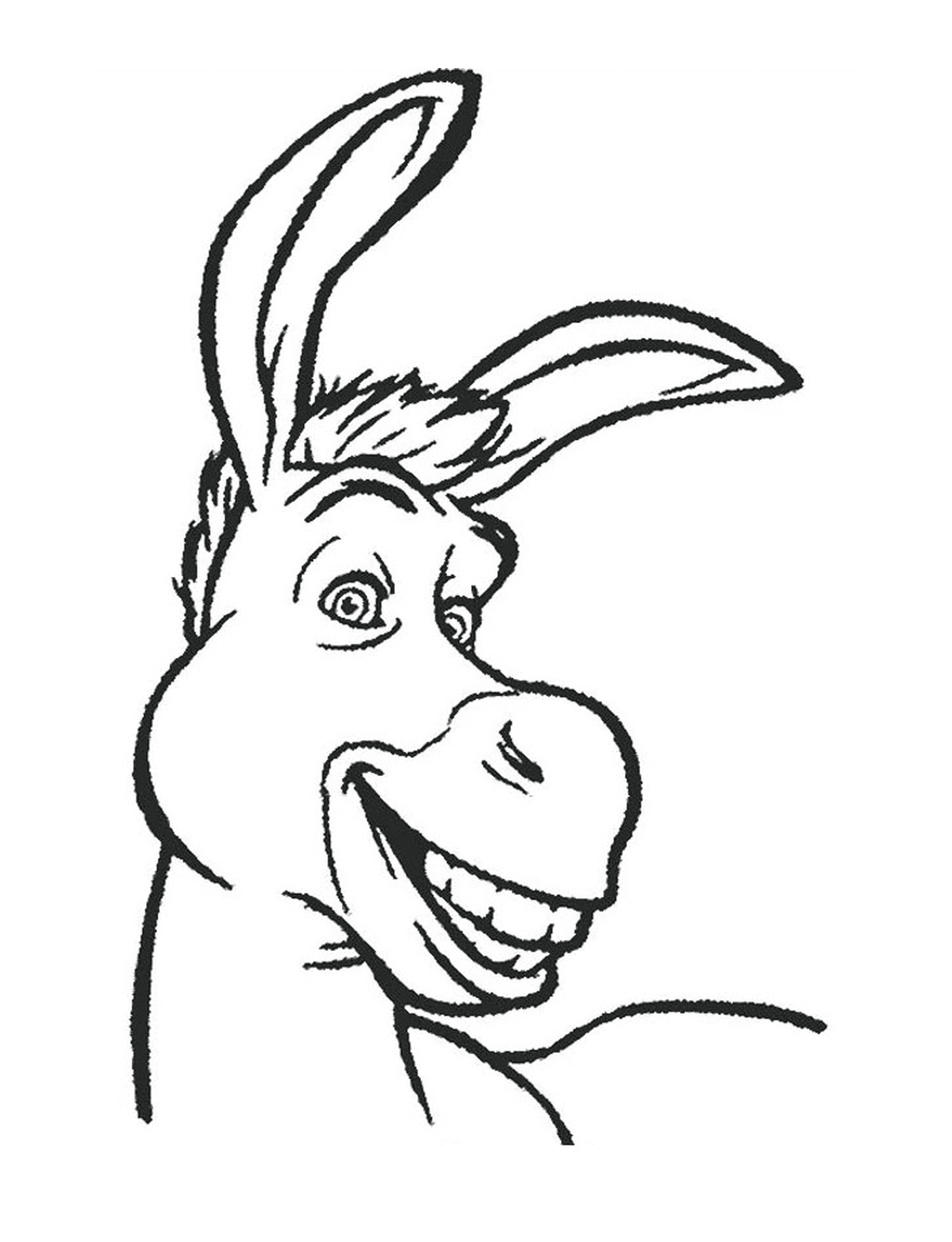  A donkey with a big smile 