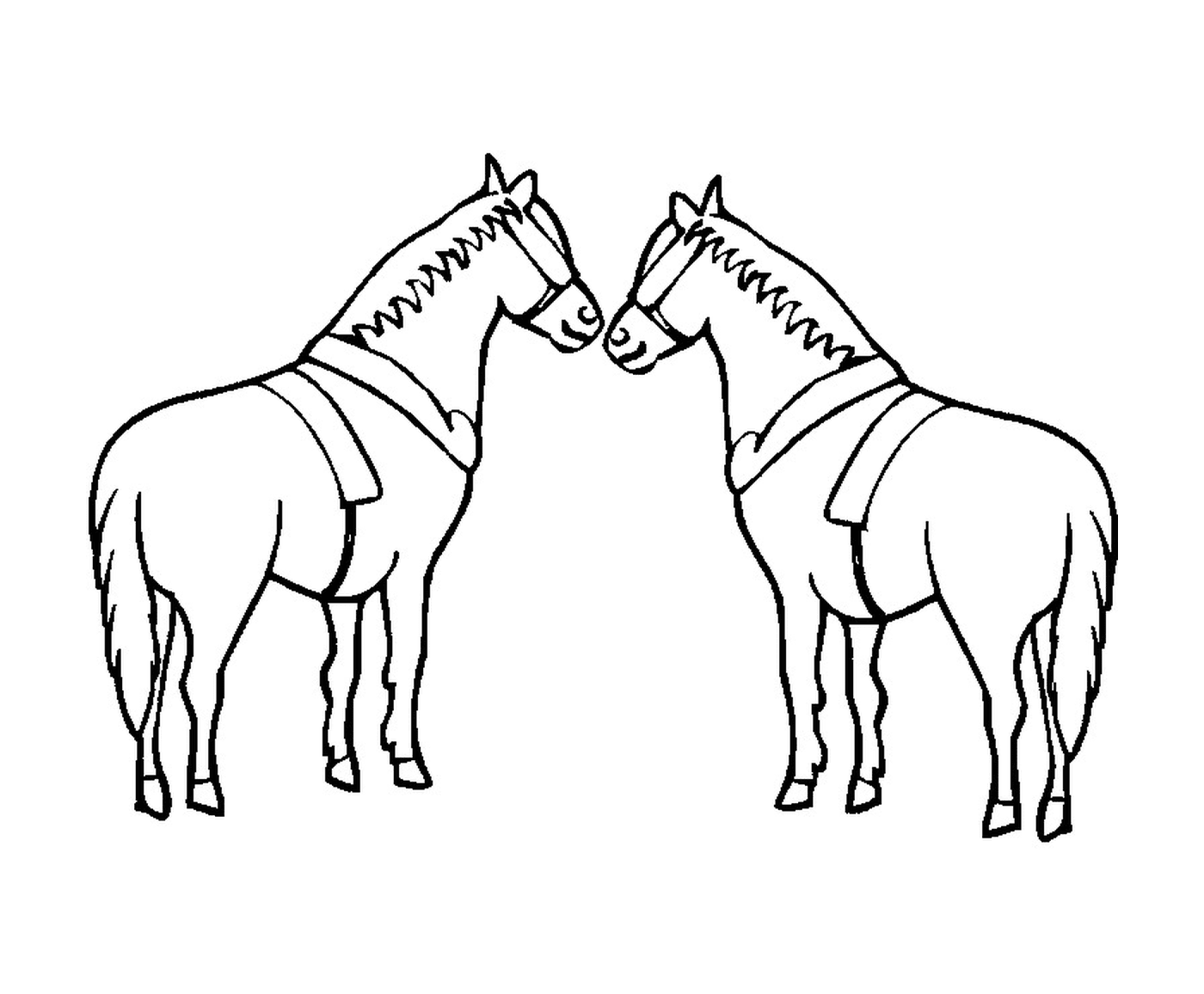  A couple of horses standing in the grass 