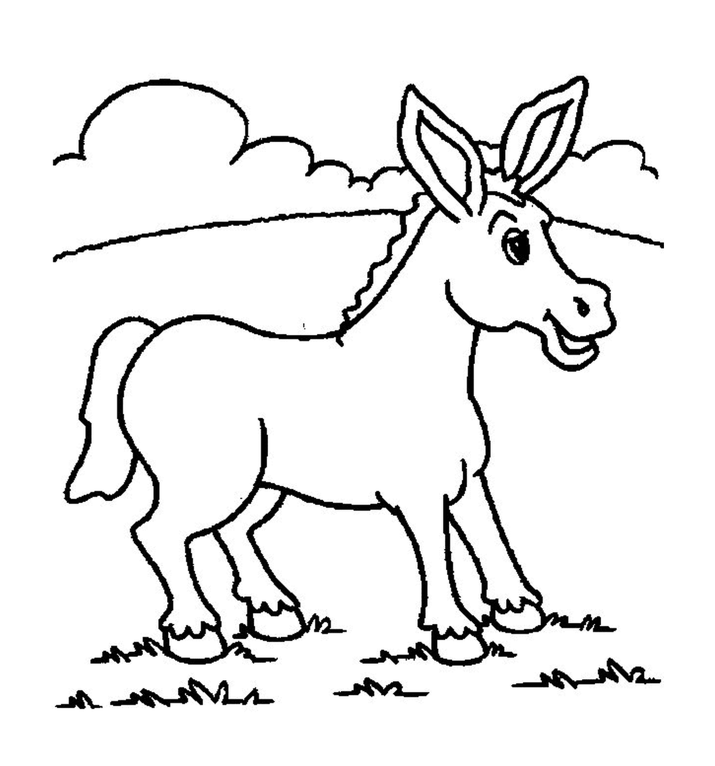  Una imagen de un burro 
