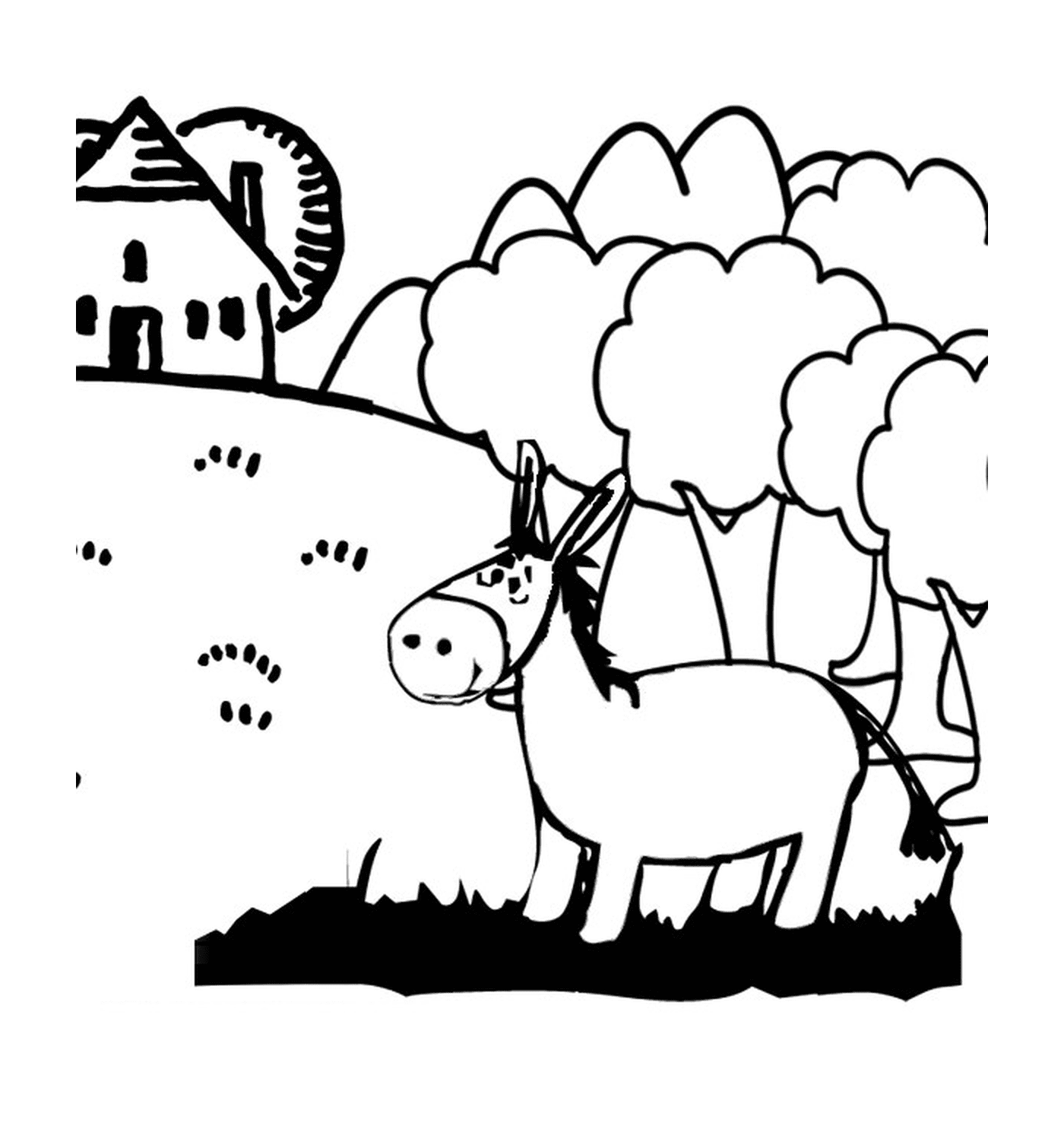  Ein Esel auf dem Bauernhof 