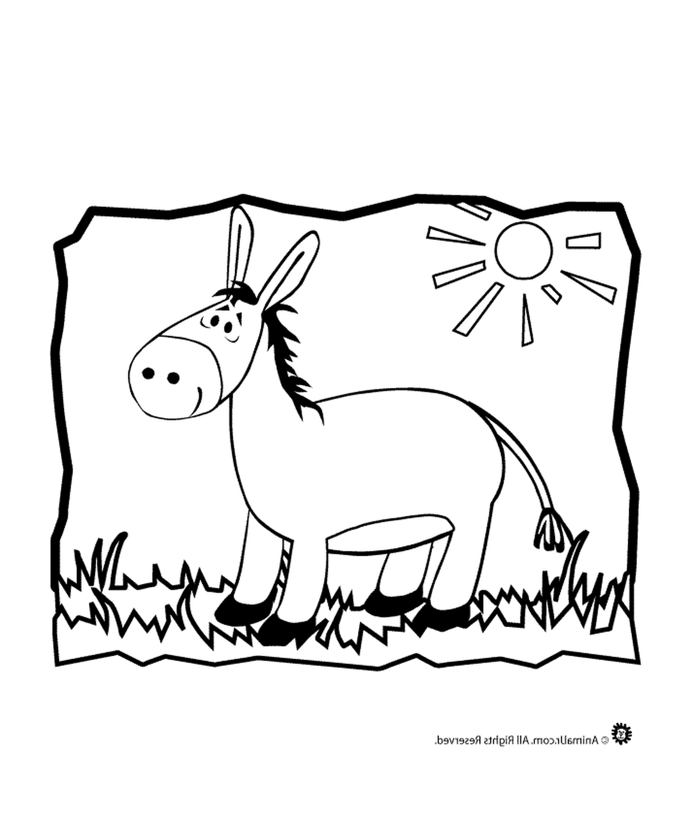  Un burro de pie en un campo 