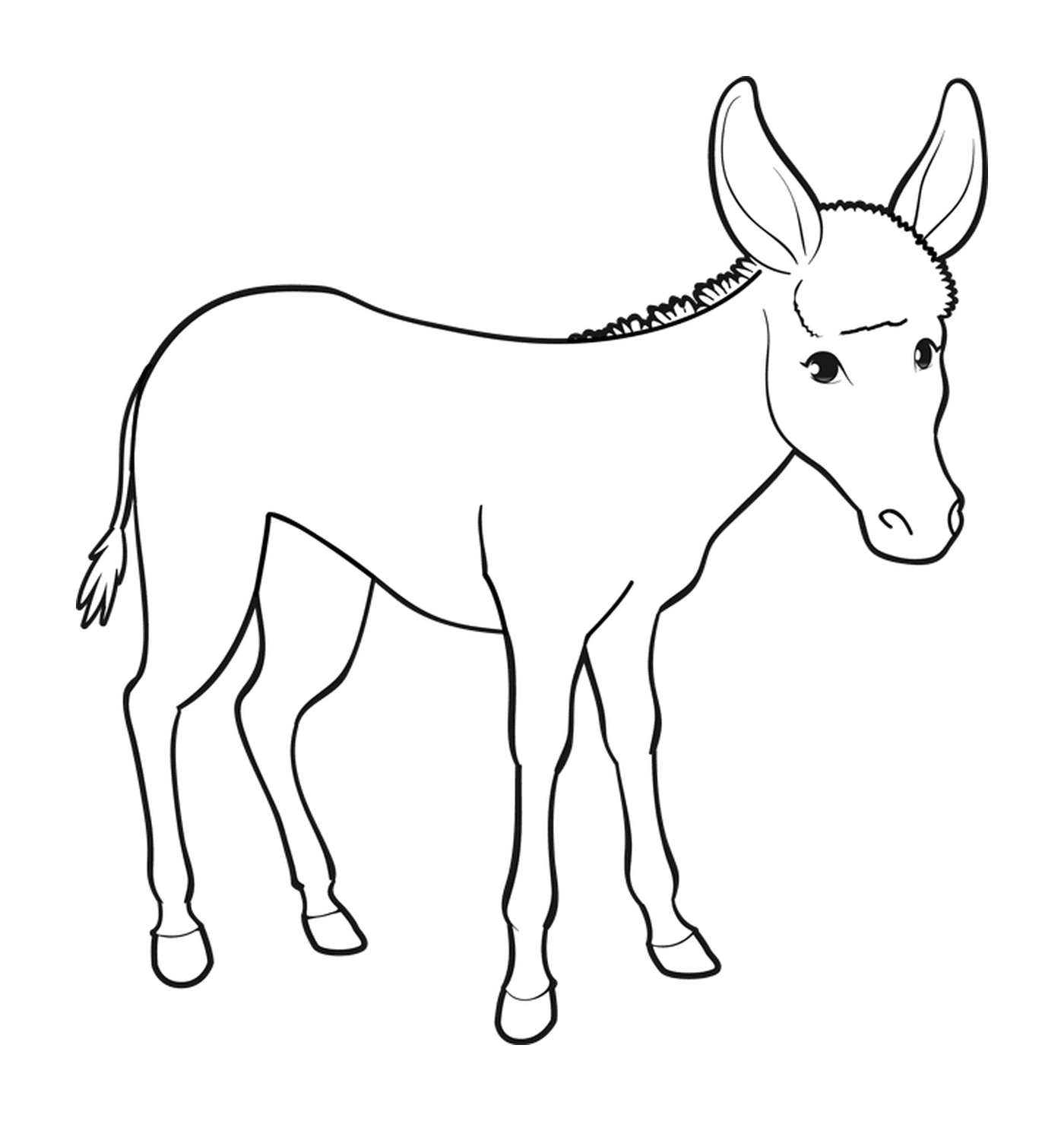  A donkey with long ears 