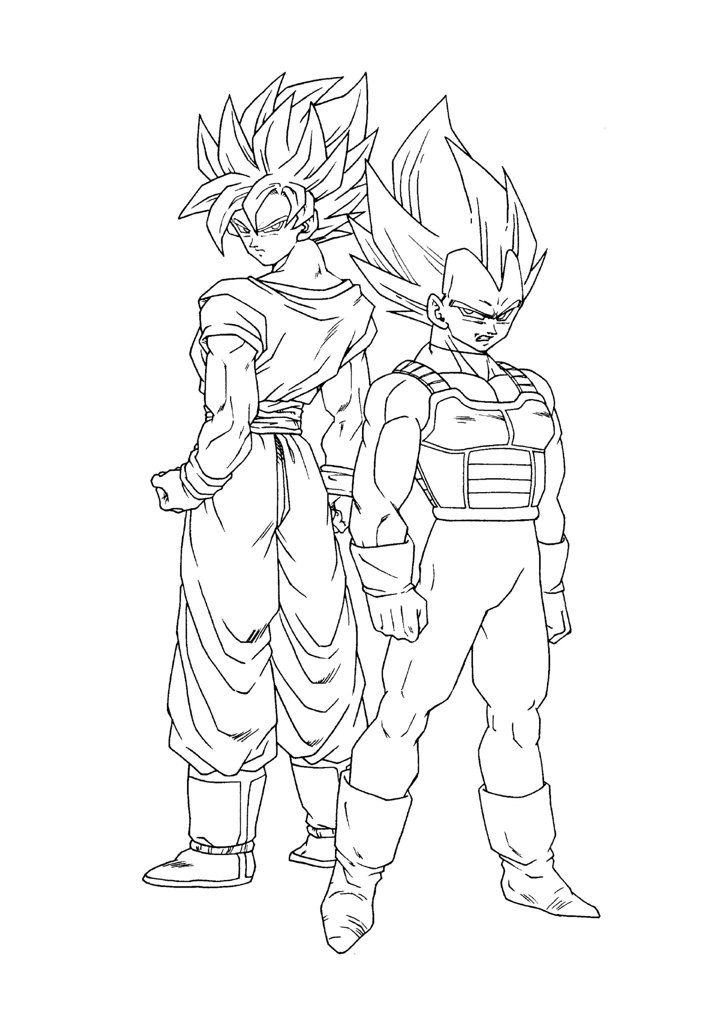  Goku y su hermano Vegeta de Dragon Ball Z 