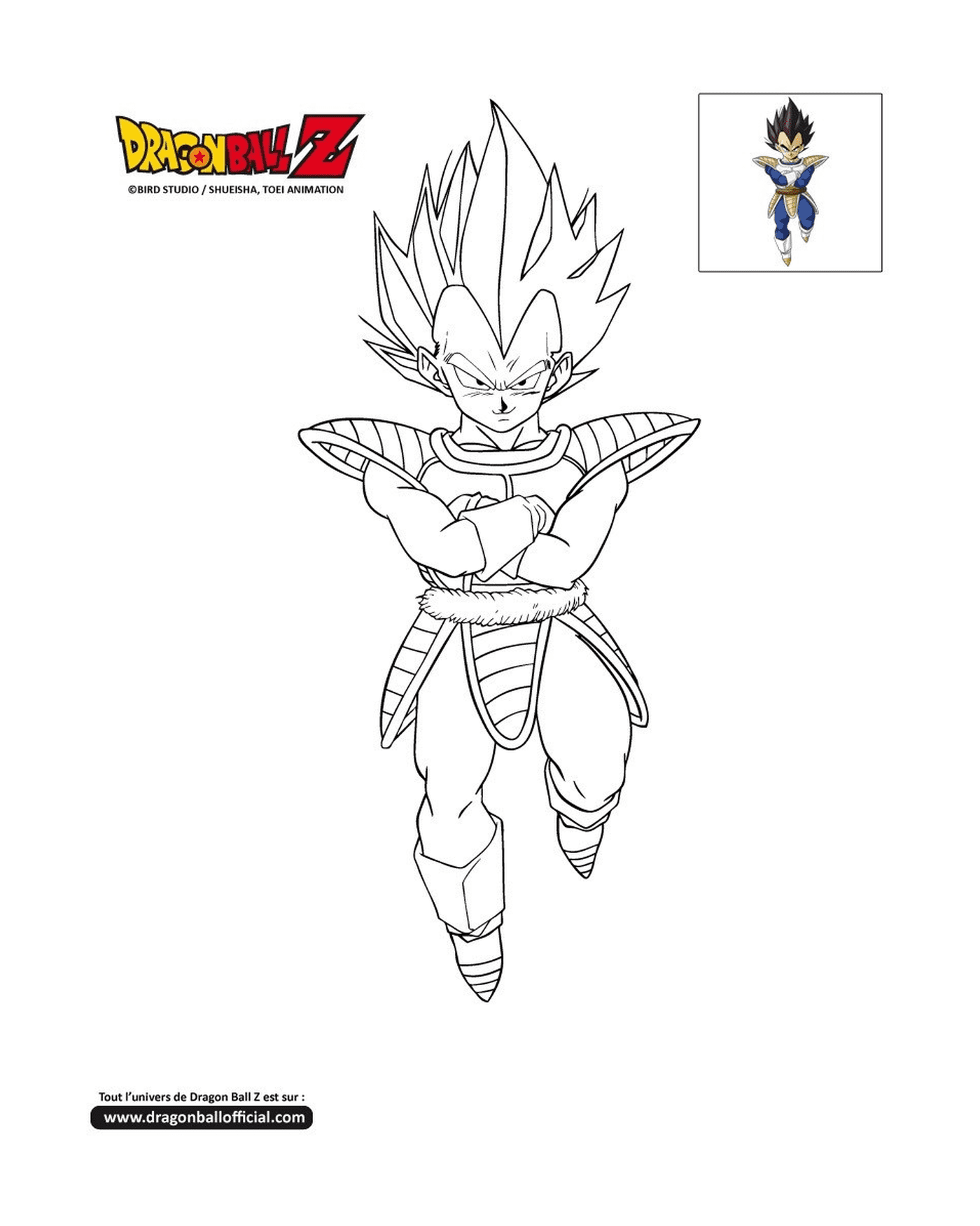  Vegeta, a character from Dragon Ball Z 