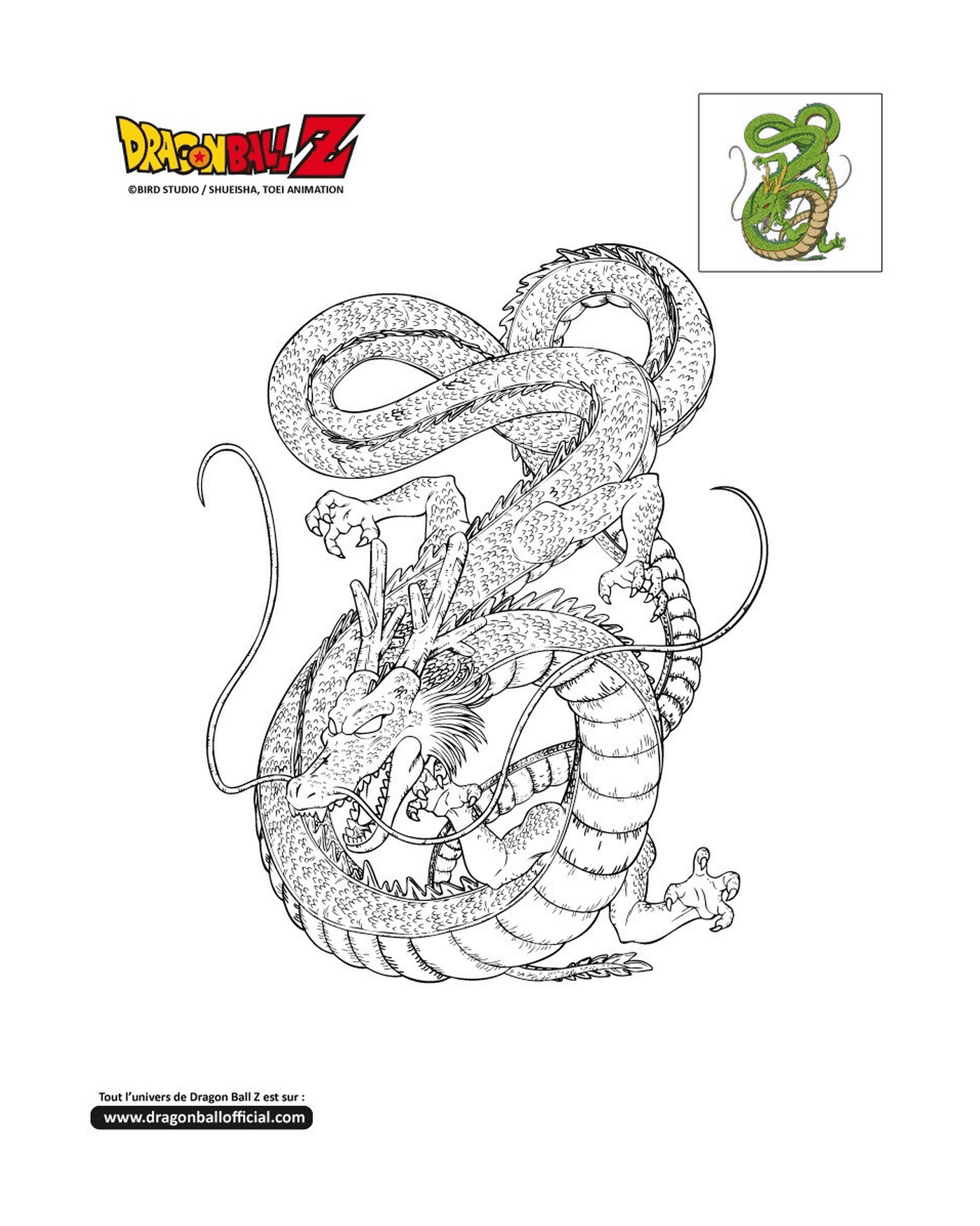  Shenron, un dragón con una serpiente alrededor de su cuello en Dragon Ball Z 