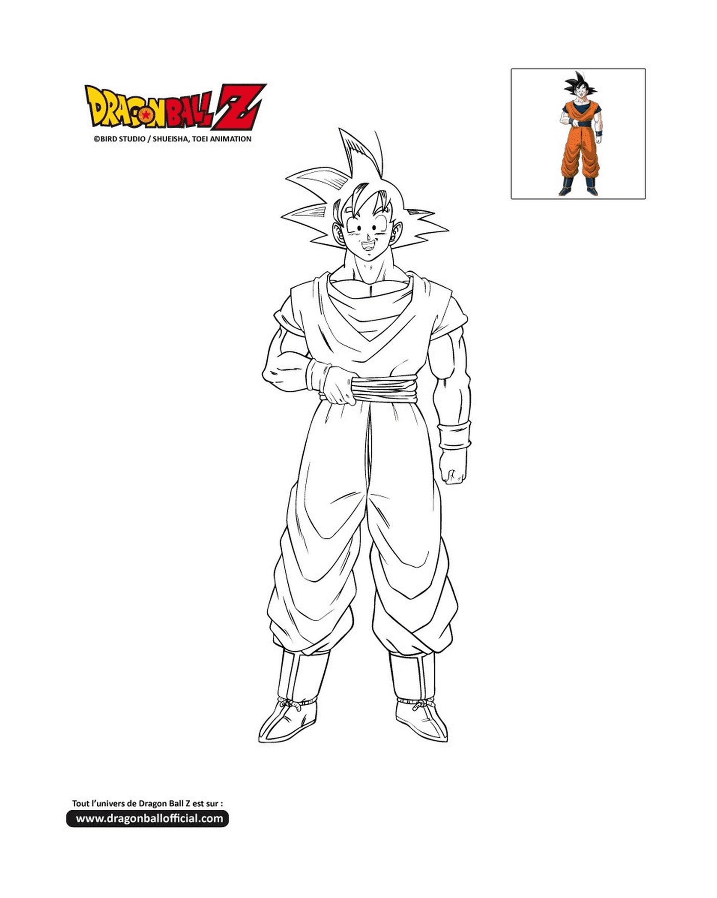  Goku, un uomo vestito da Dragon Ball Z 