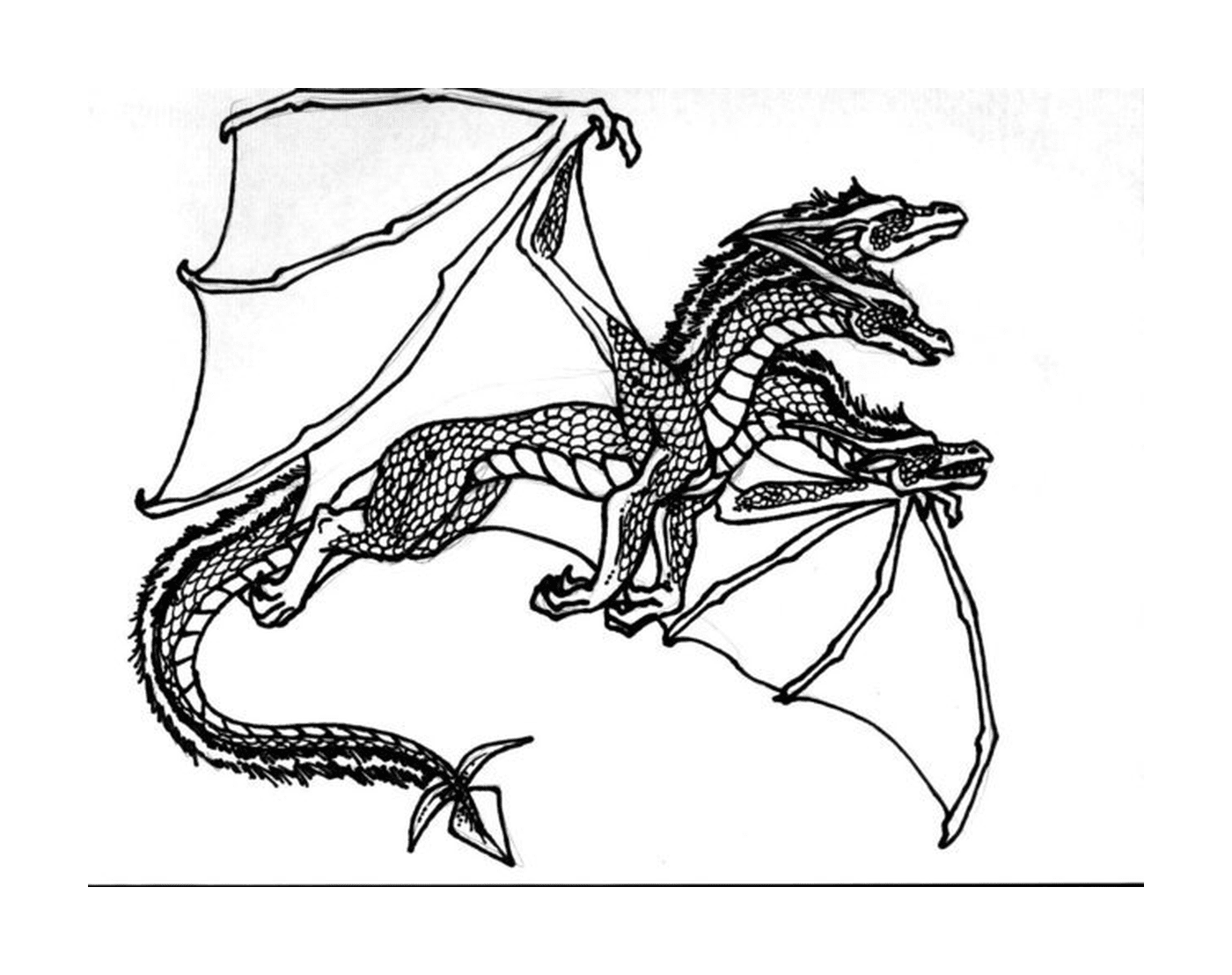  Dragon with spread wings 