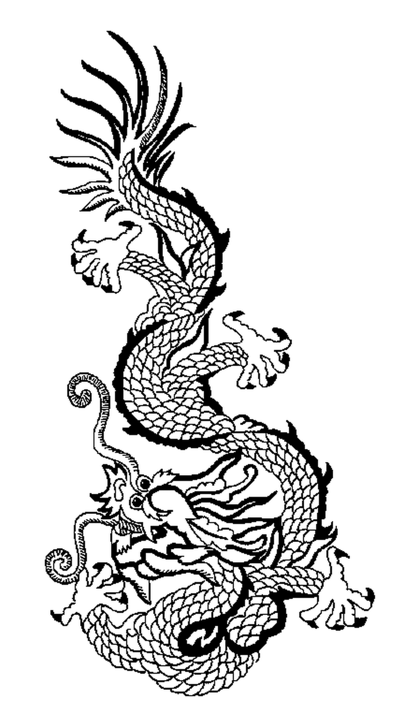  Un dragón chino 