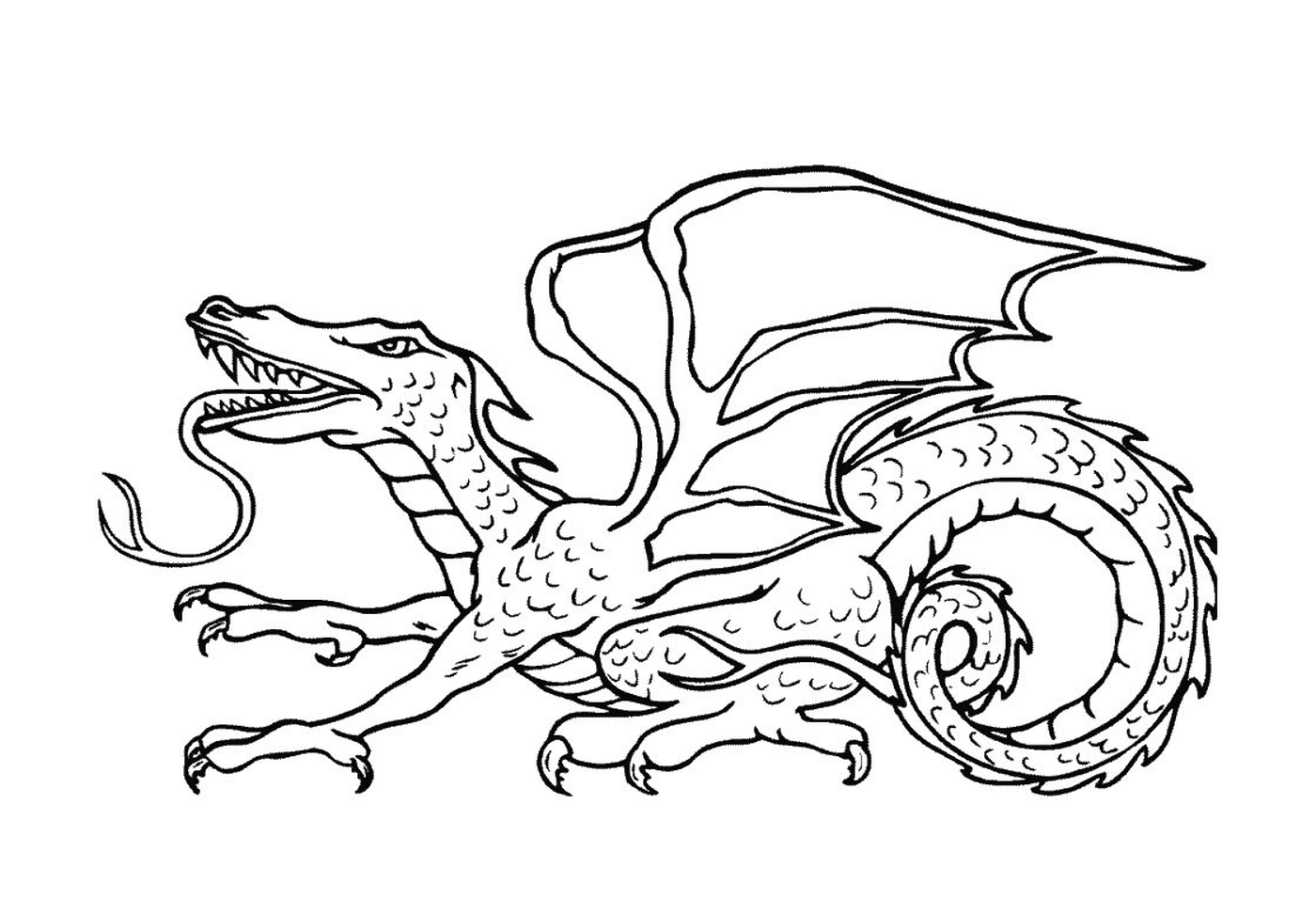  An adult dragon 