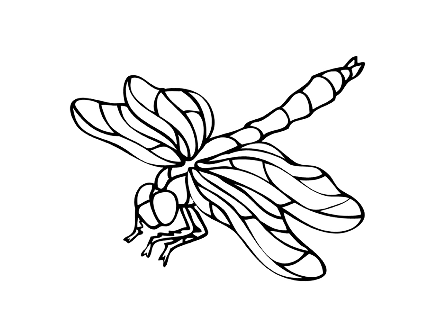  Libellule : Ein schönes Insekt 