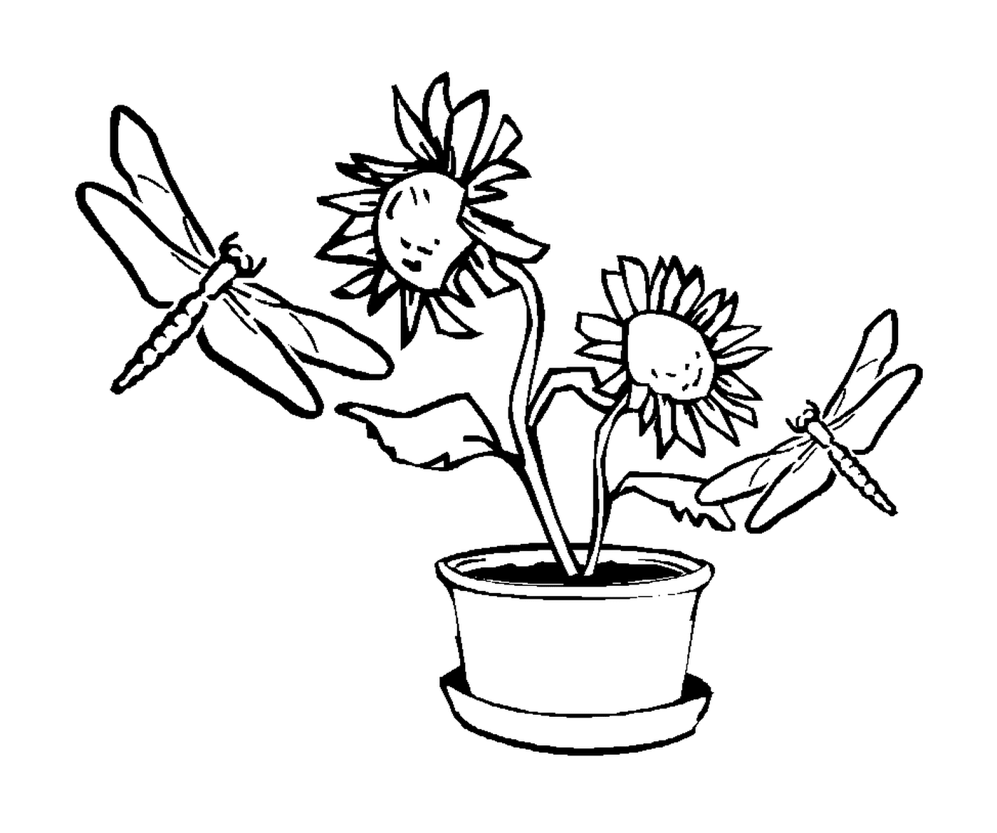  Two dragonflies flying around a flowerpot 
