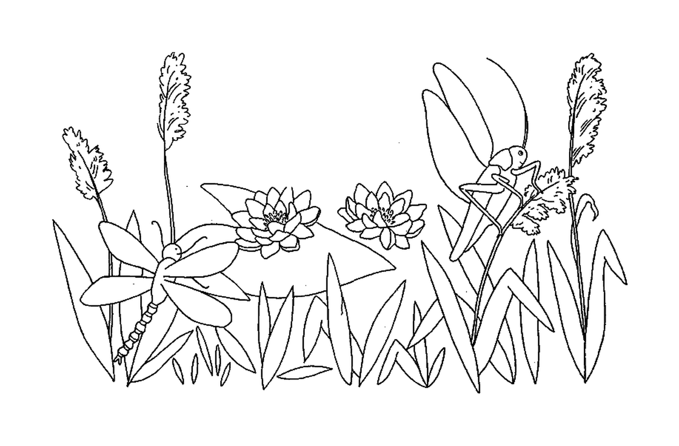  Una libellula e una cavalletta in un giardino fiorito 