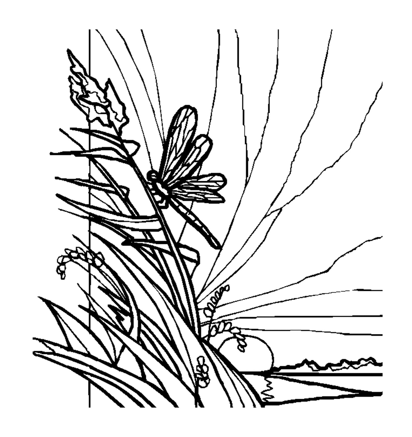  Una libélula colocada sobre la vegetación 