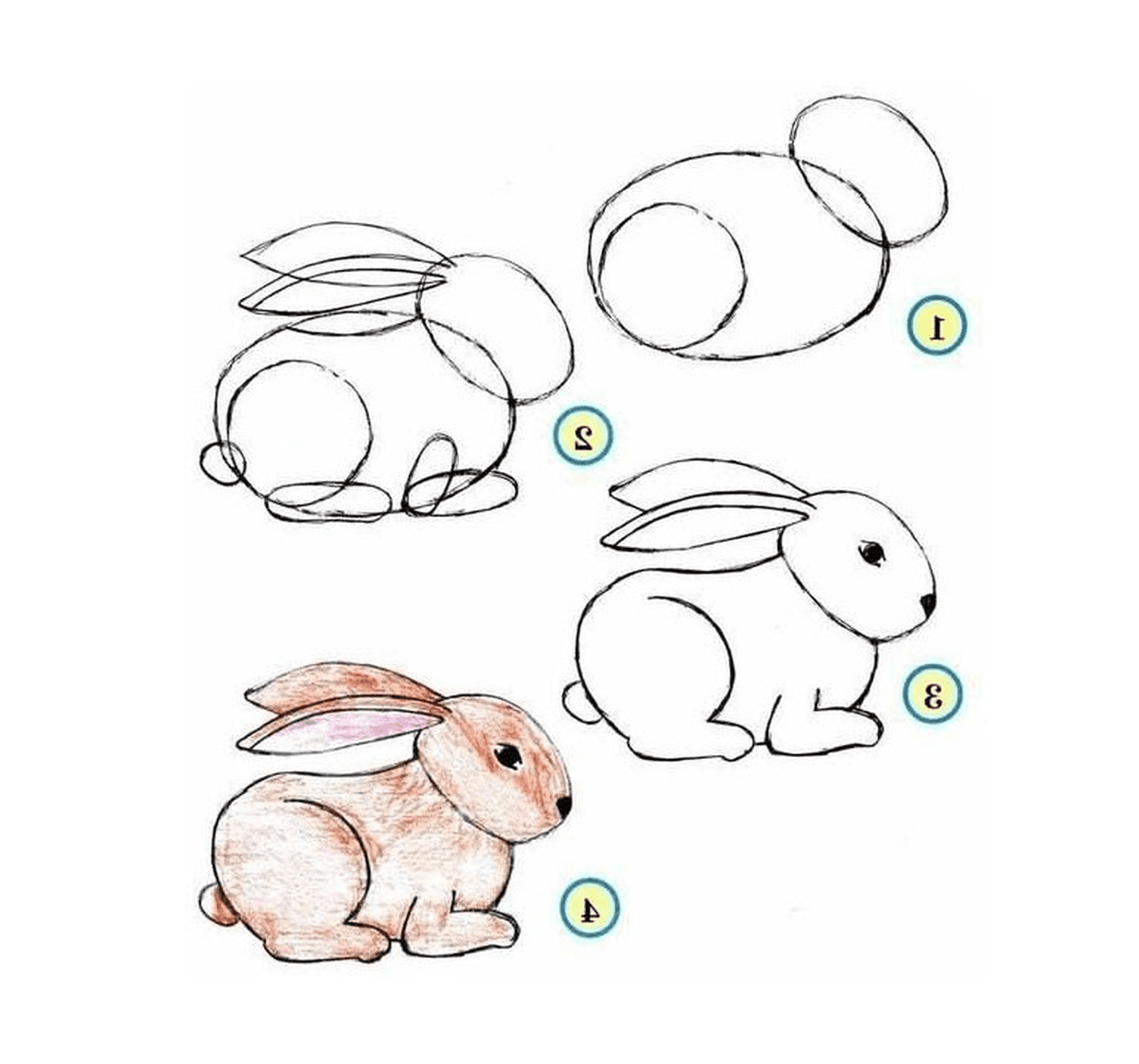  Как рисовать кролика шаг за шагом 