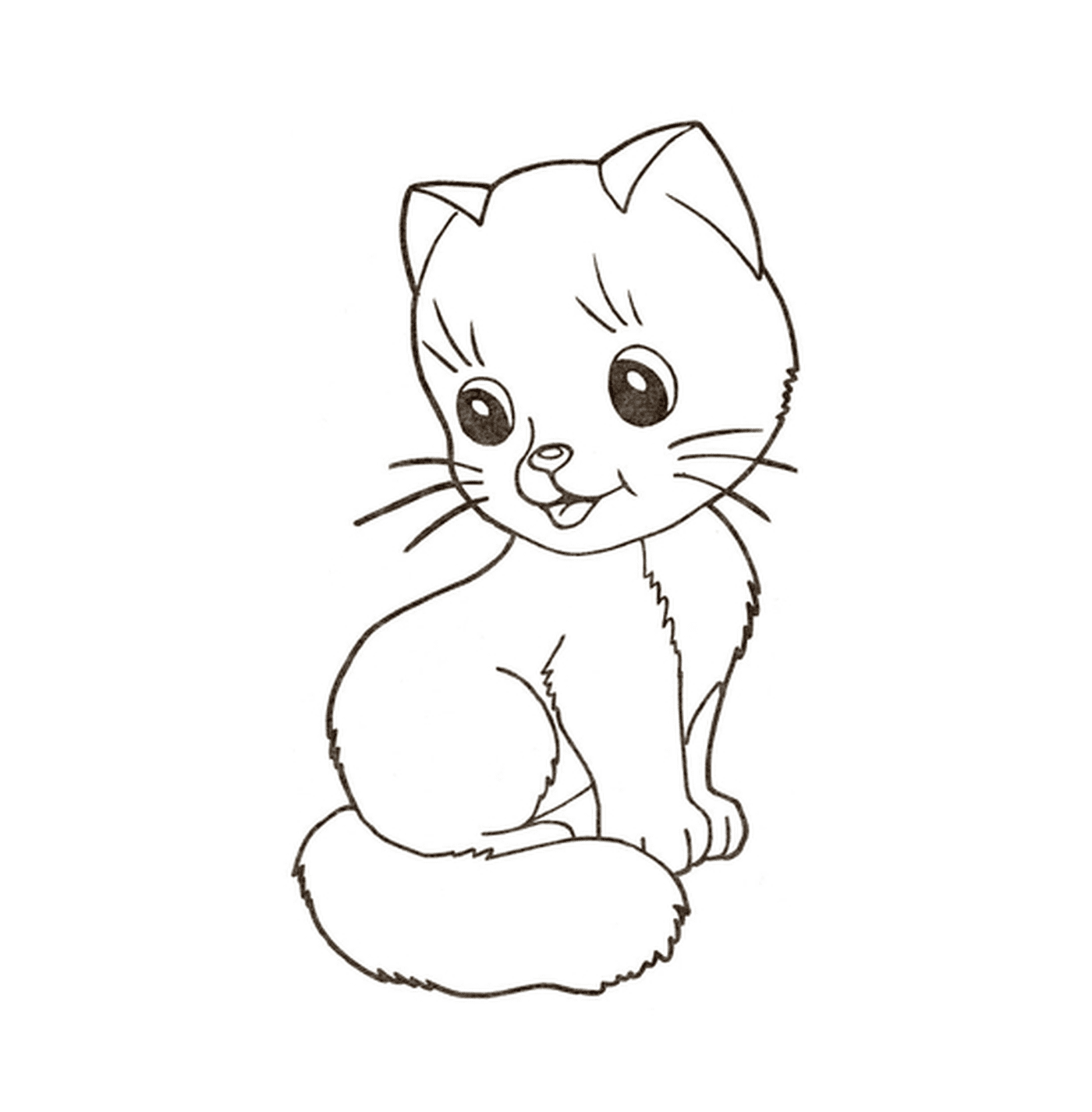  A kitten 