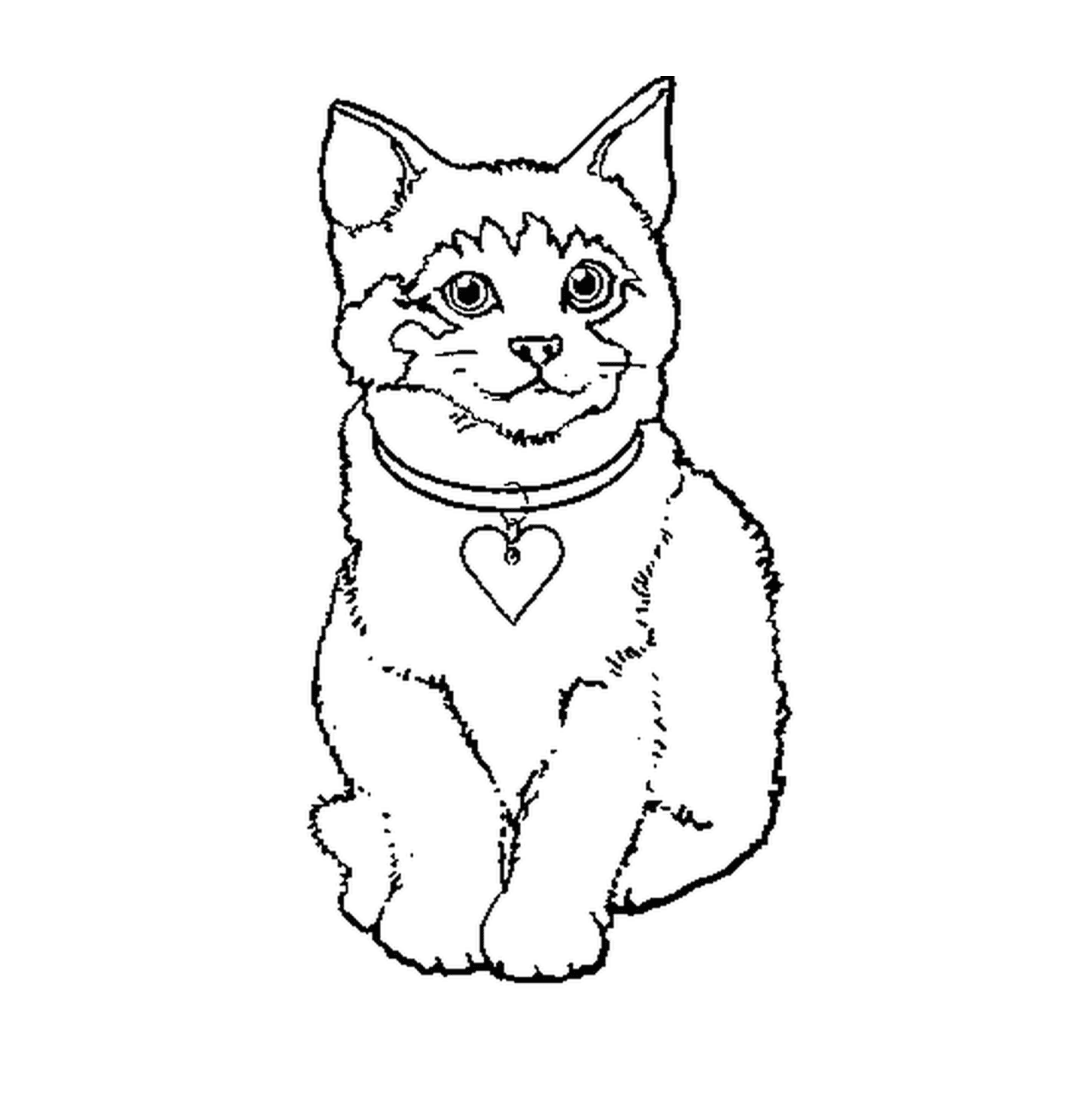  Un gatito con un collar 