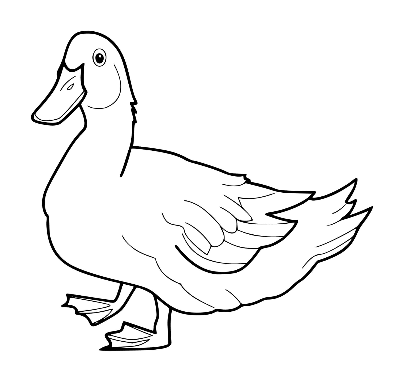 a realistic duck 
