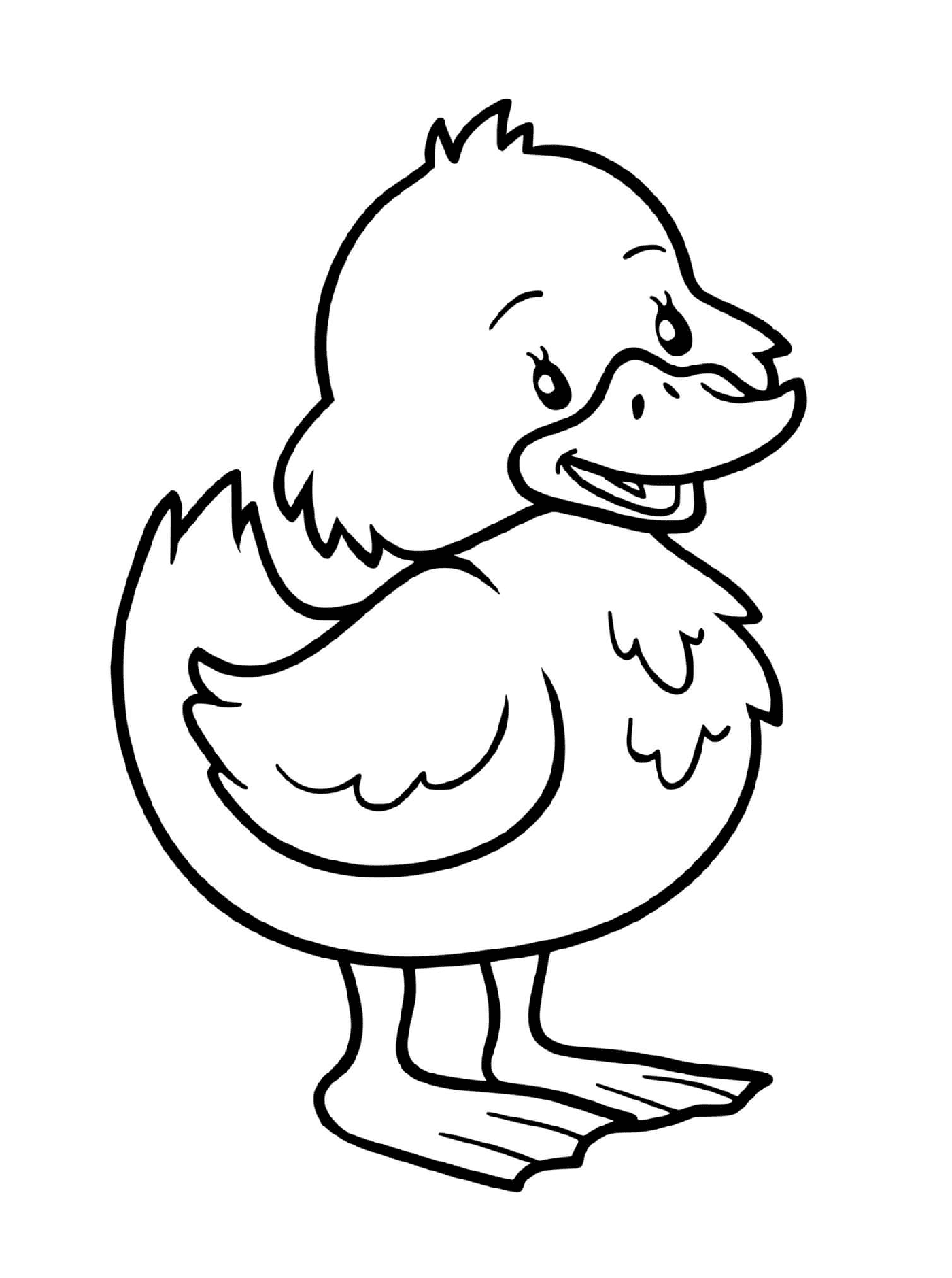  a kindergarten duck 
