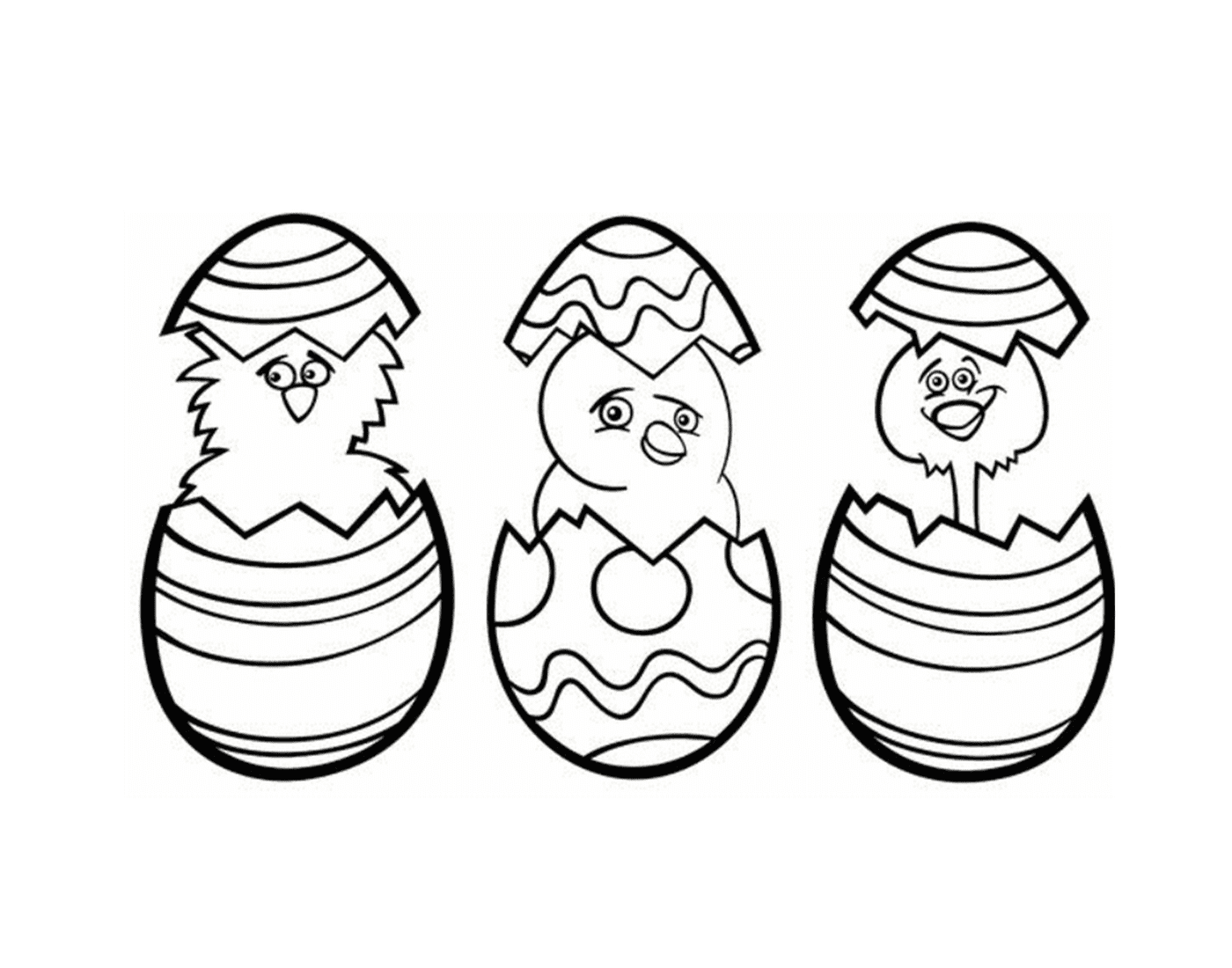  Three adorable chicks hatch 