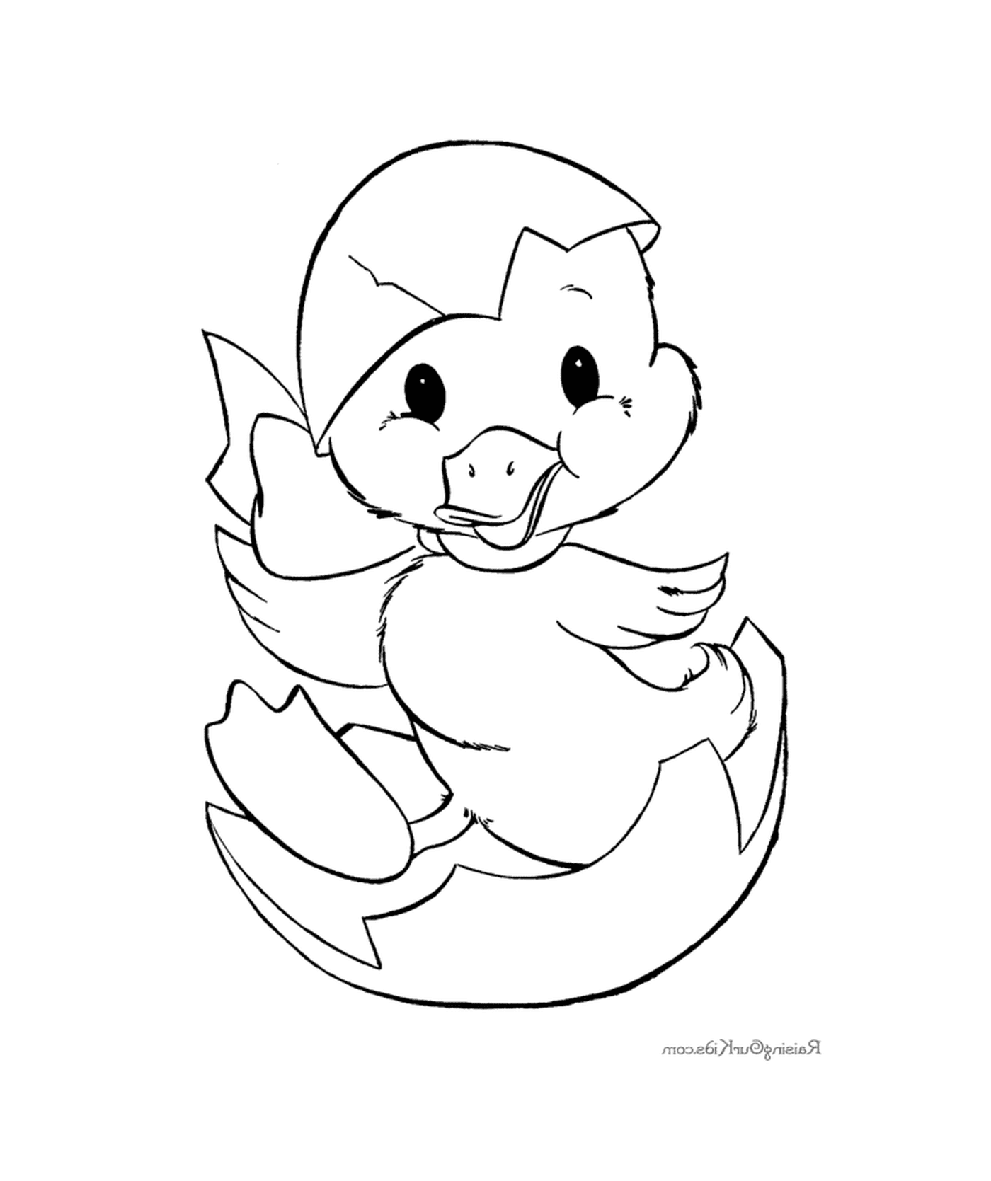  A duck baby 