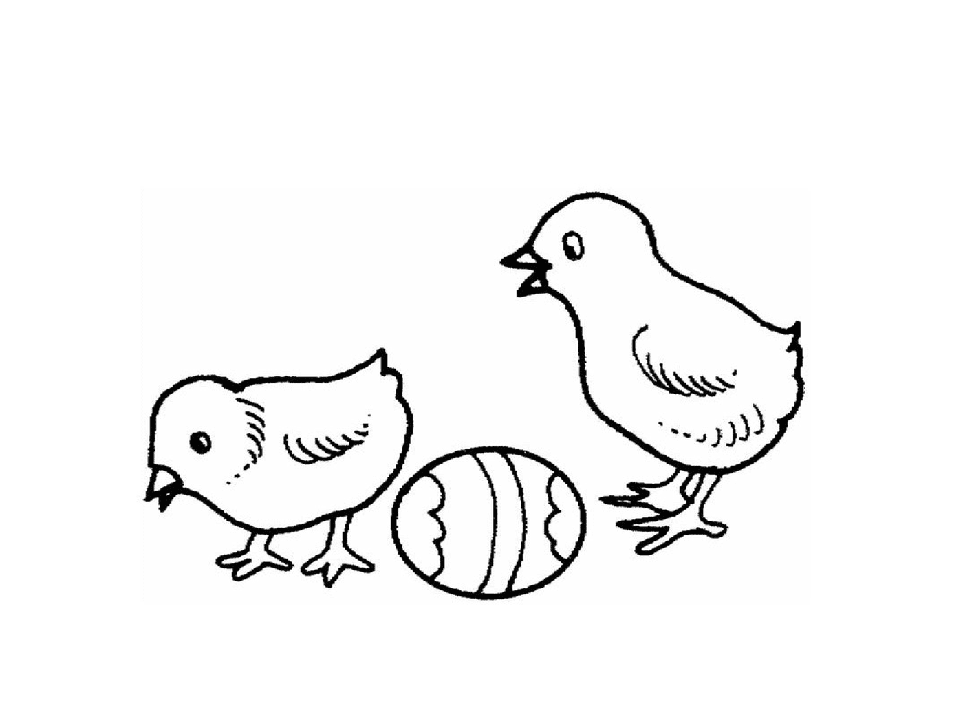  Zwei Hühner und ein Ei stehen nebeneinander 